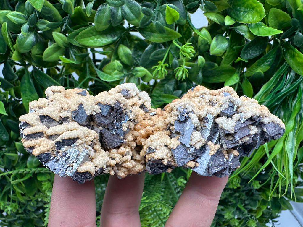 Galena Dolomite Cluster, Krushev dol Bulgaria Mineral Specimen