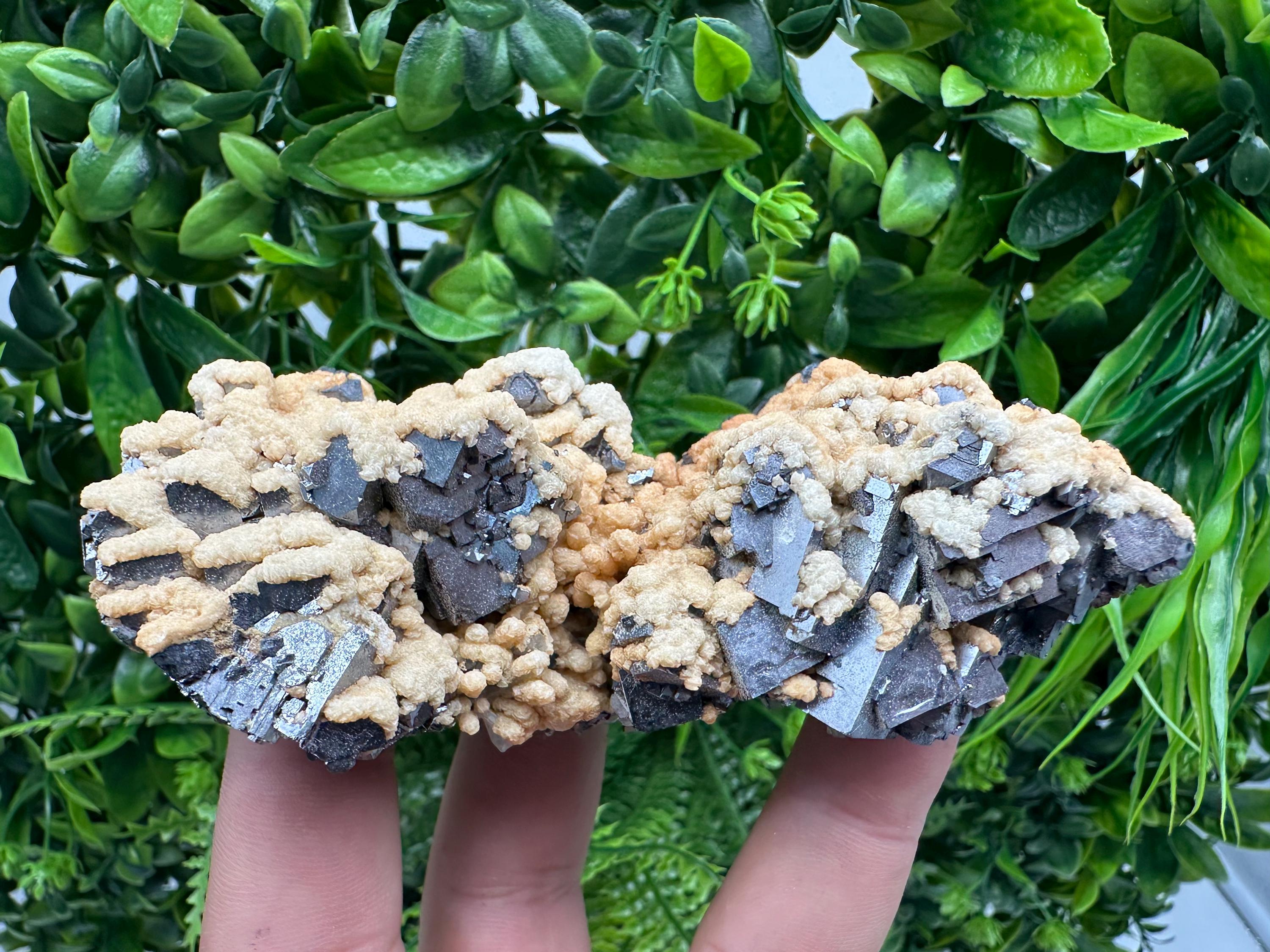 Galena Dolomite Cluster, Krushev dol Bulgaria Mineral Specimen