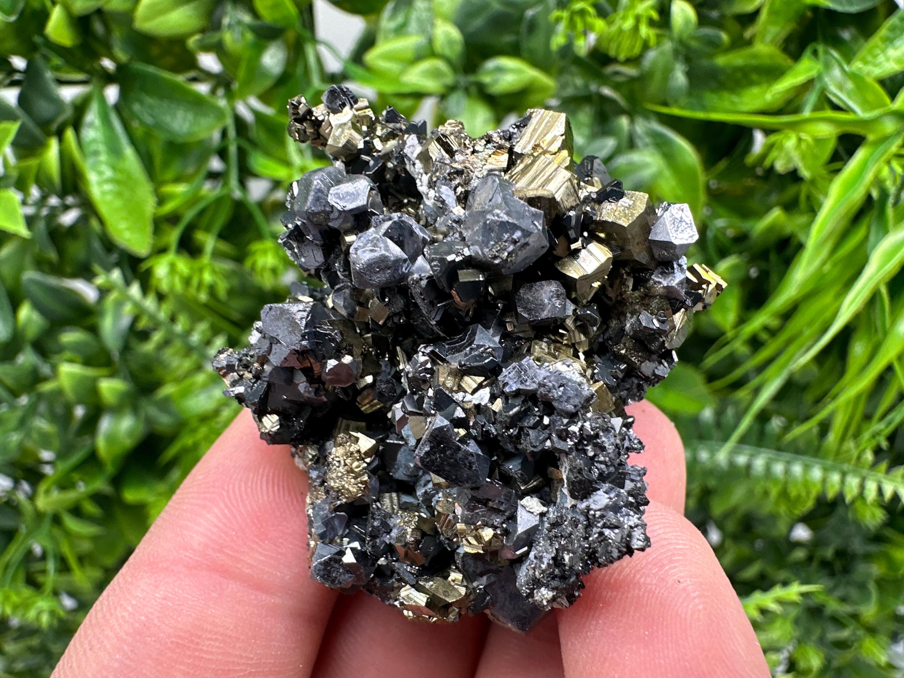 Galena on Pyrite Mineral Specimen, Borieva Mine, Bulgaria