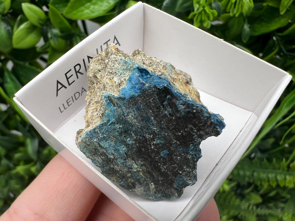 Rare Raw Aerinite Mineral Specimen: Lleida, Spain Collection Crystal