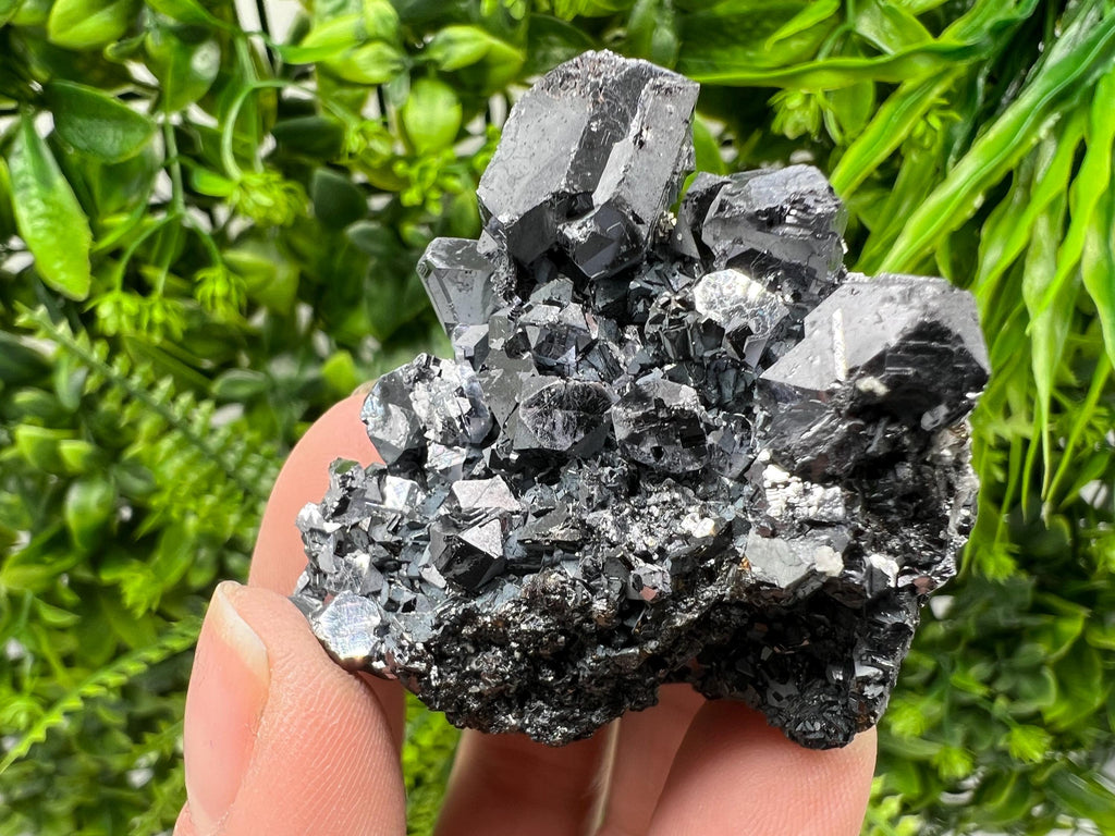 Galena Spinel Law on Sphalerite, Borieva Mine Mineral Specimen