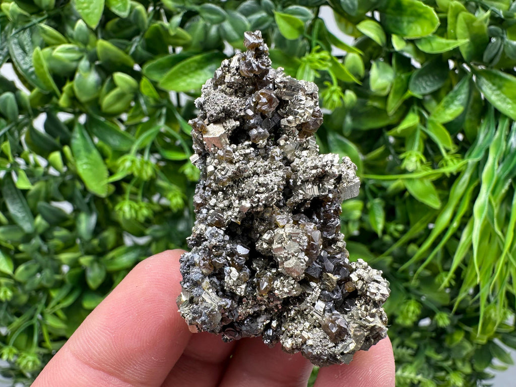 Sphalerite GEM Cleiopfane on Pyrite, Rare Crystal Mineral Stone