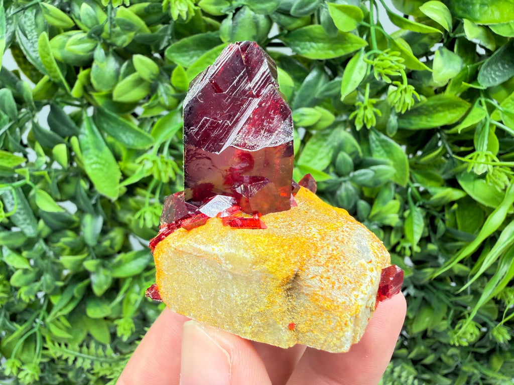 XXL Laboratory Pruskite Ruby Crystal on Matrix