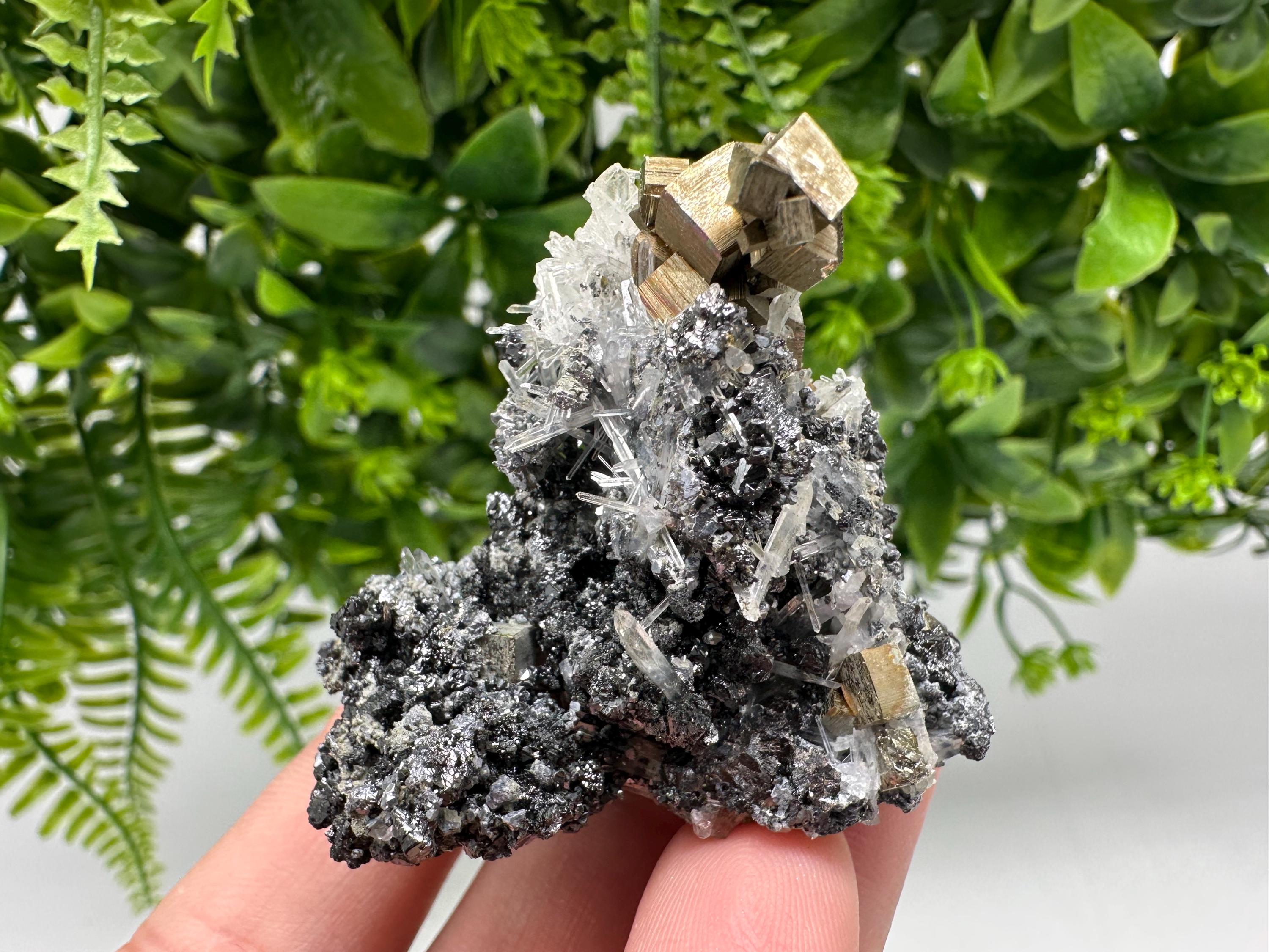 Pyrite on Green Quartz: Rare Crystal Mineral Specimen, Bulgaria