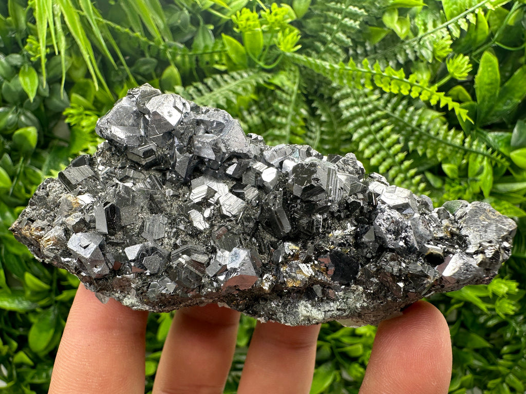 Sphalerite with Galena, Borieva Mine, Bulgaria, Mineral Specimen