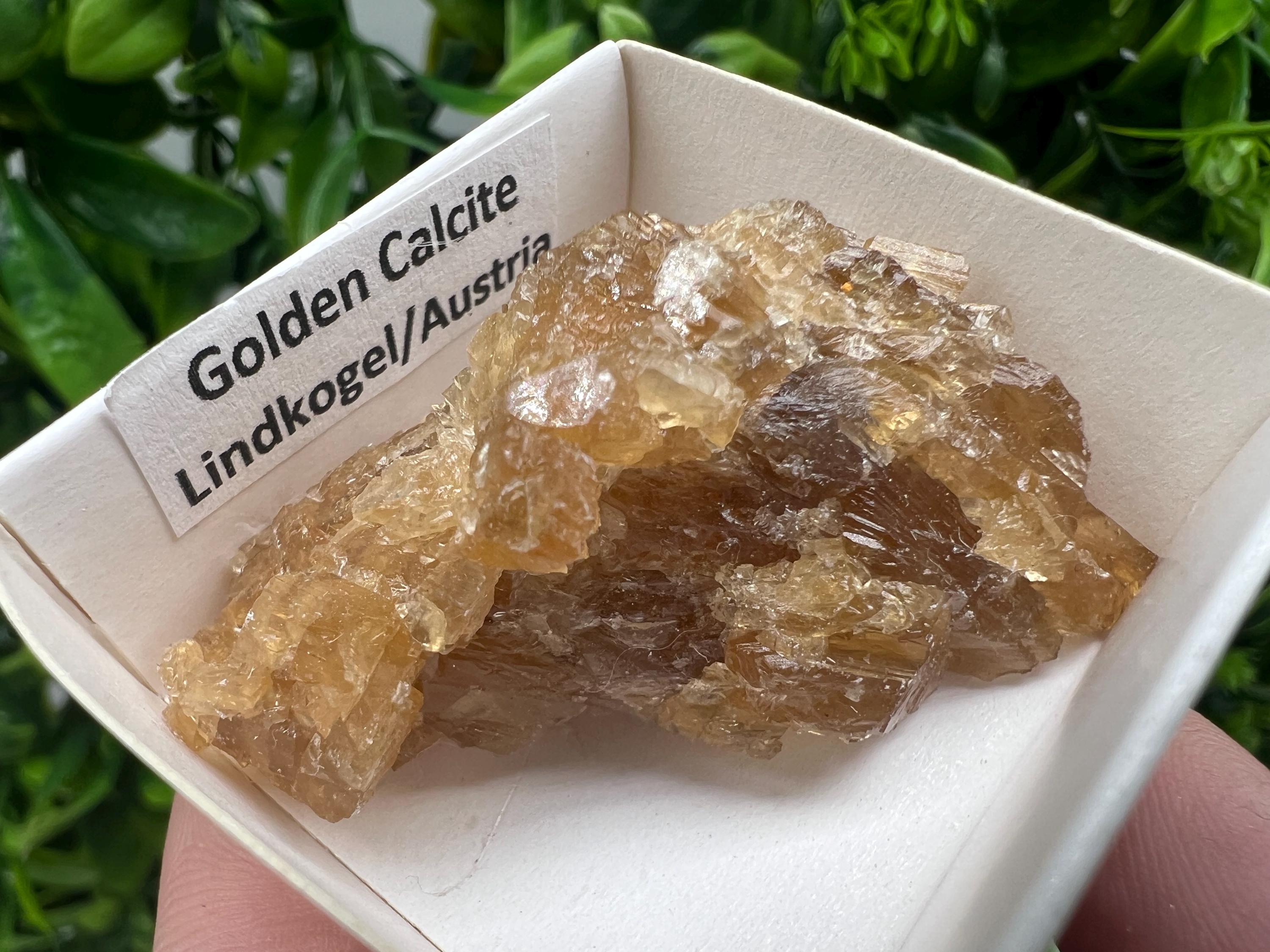 Raw Honey Calcite Stone: Rough Golden Crystal (5/3.5 cm