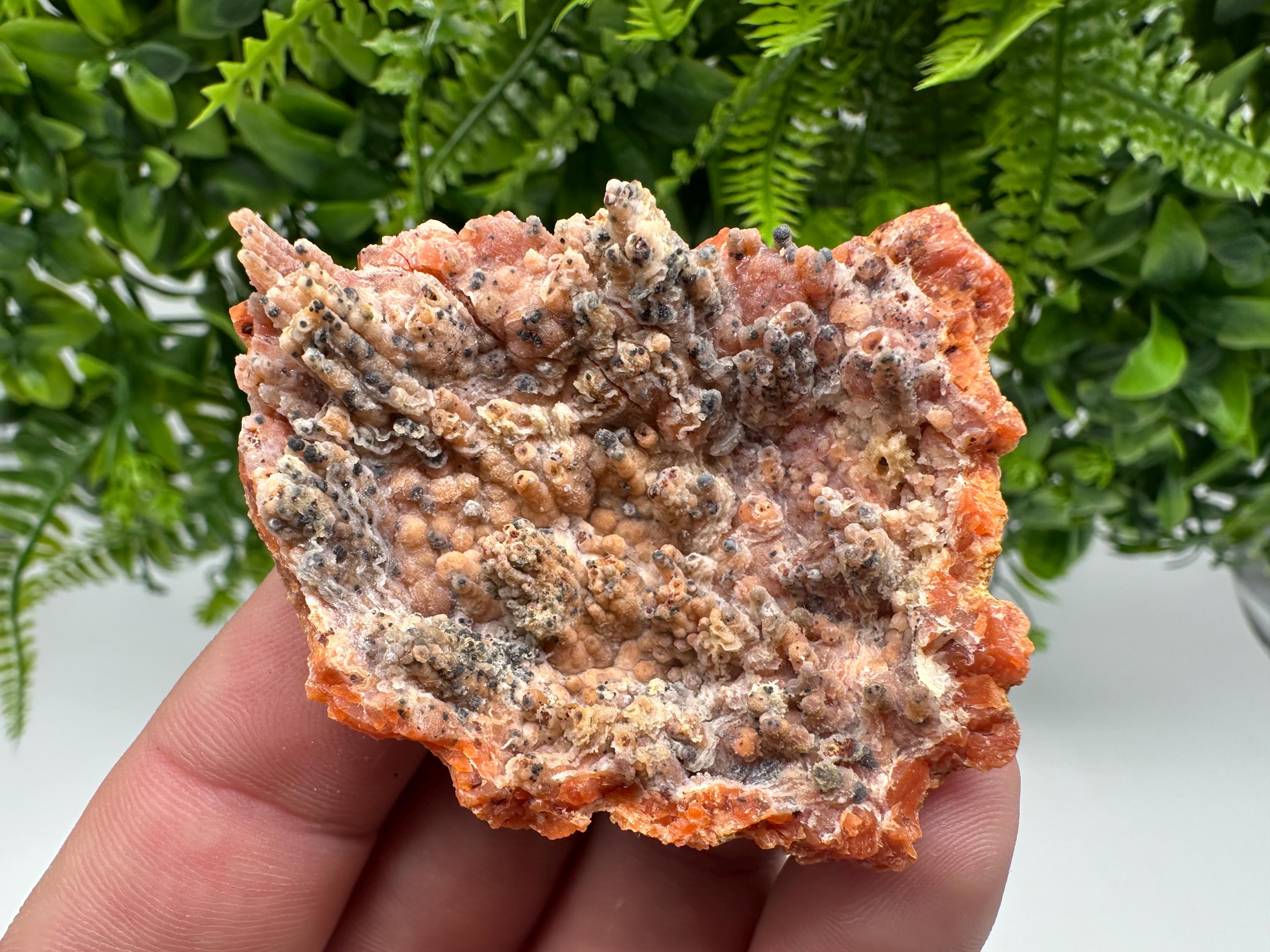 Moroccan Red Chalcedony Crystal Specimen: Rare Mineral Gift