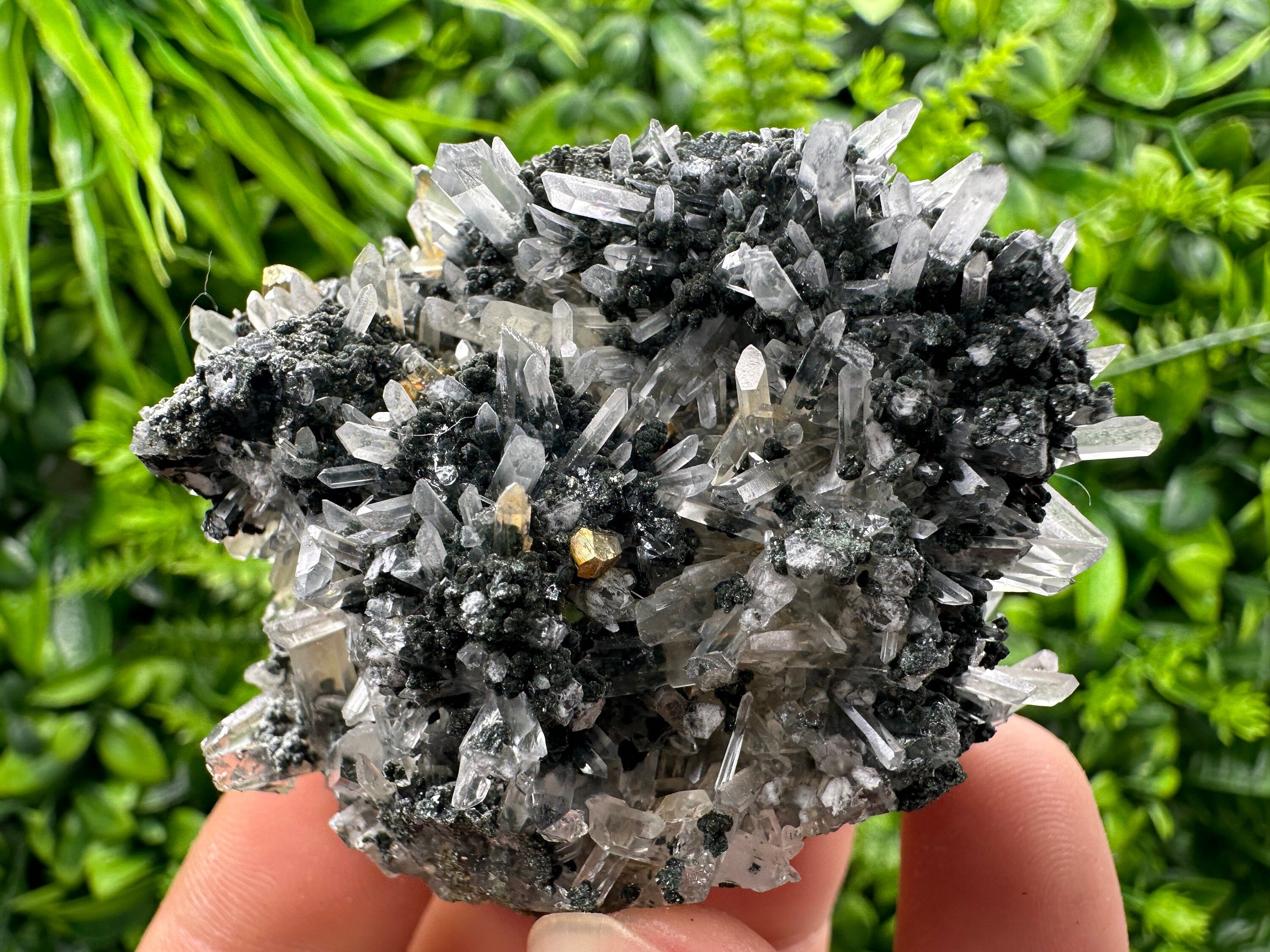Chlorite Quartz Crystal: Iron Oxide Mineral Specimen, Borieva Bulgaria