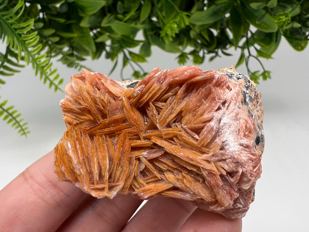 Moroccan Baryte Cluster with Cerussite on Galena