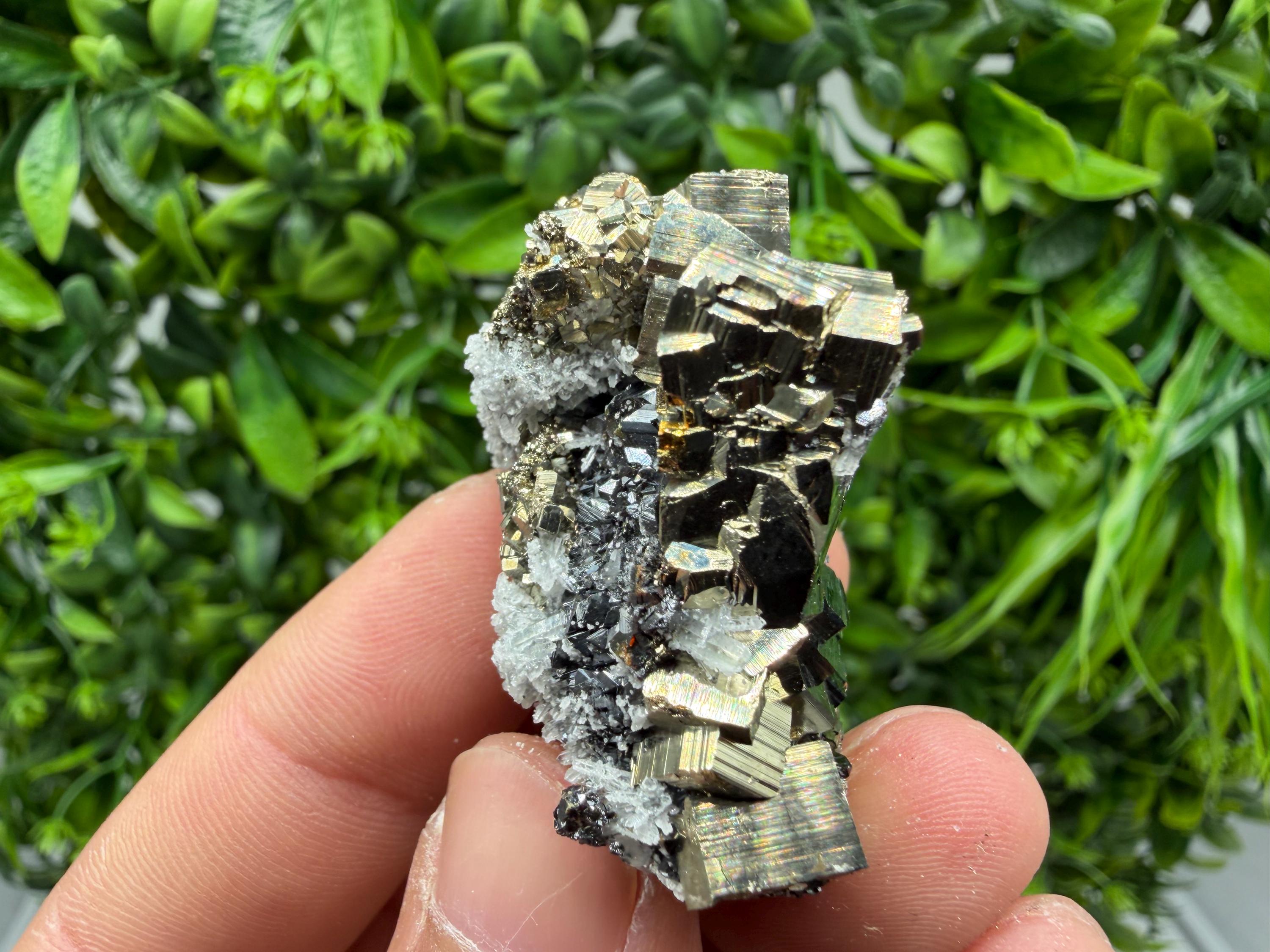 Pyrite Sphalerite Quartz  Mineral Specimen, Krushev dol Mine