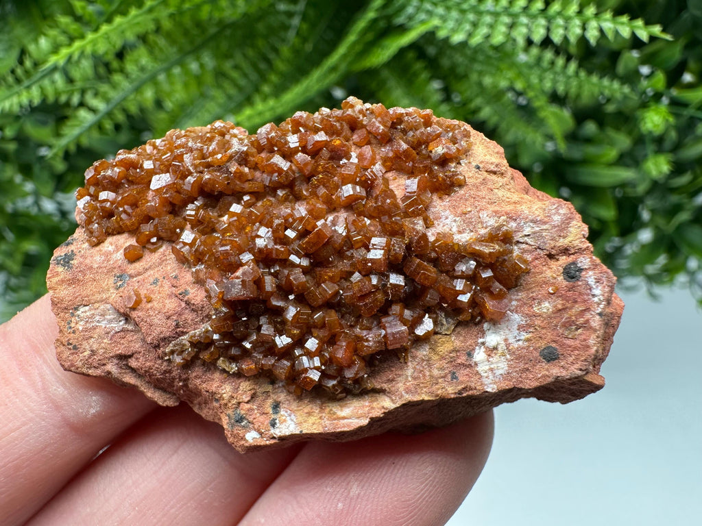 Red Vanadinite on Matrix from Marocco,crystal minerals Speciment cluster Vanadinite crystal Vanadinite Geology Vanadinite cluster minerals
