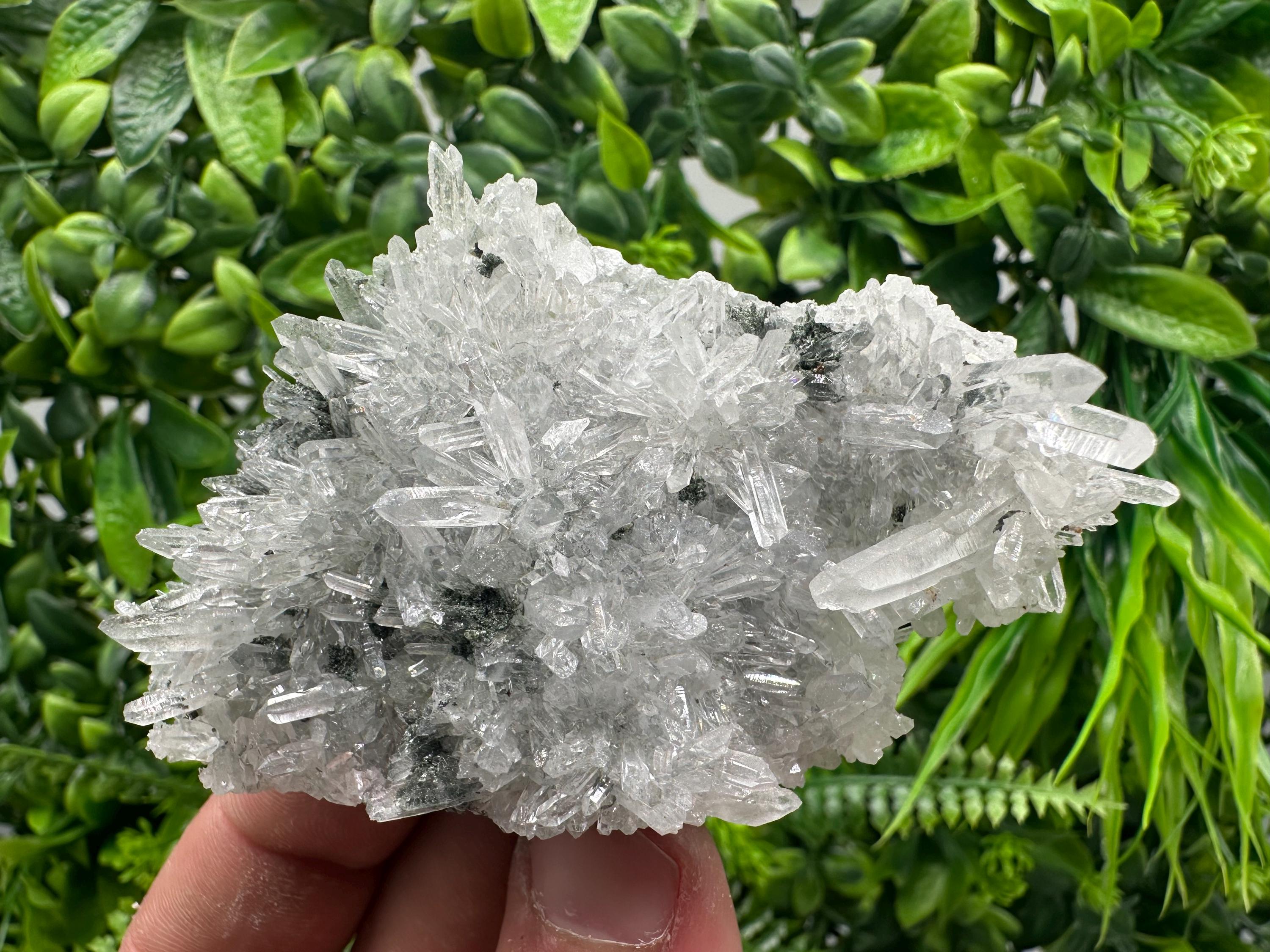 Transparent Quartz on Chlorite Matrix, Borieva Mine, Bulgaria