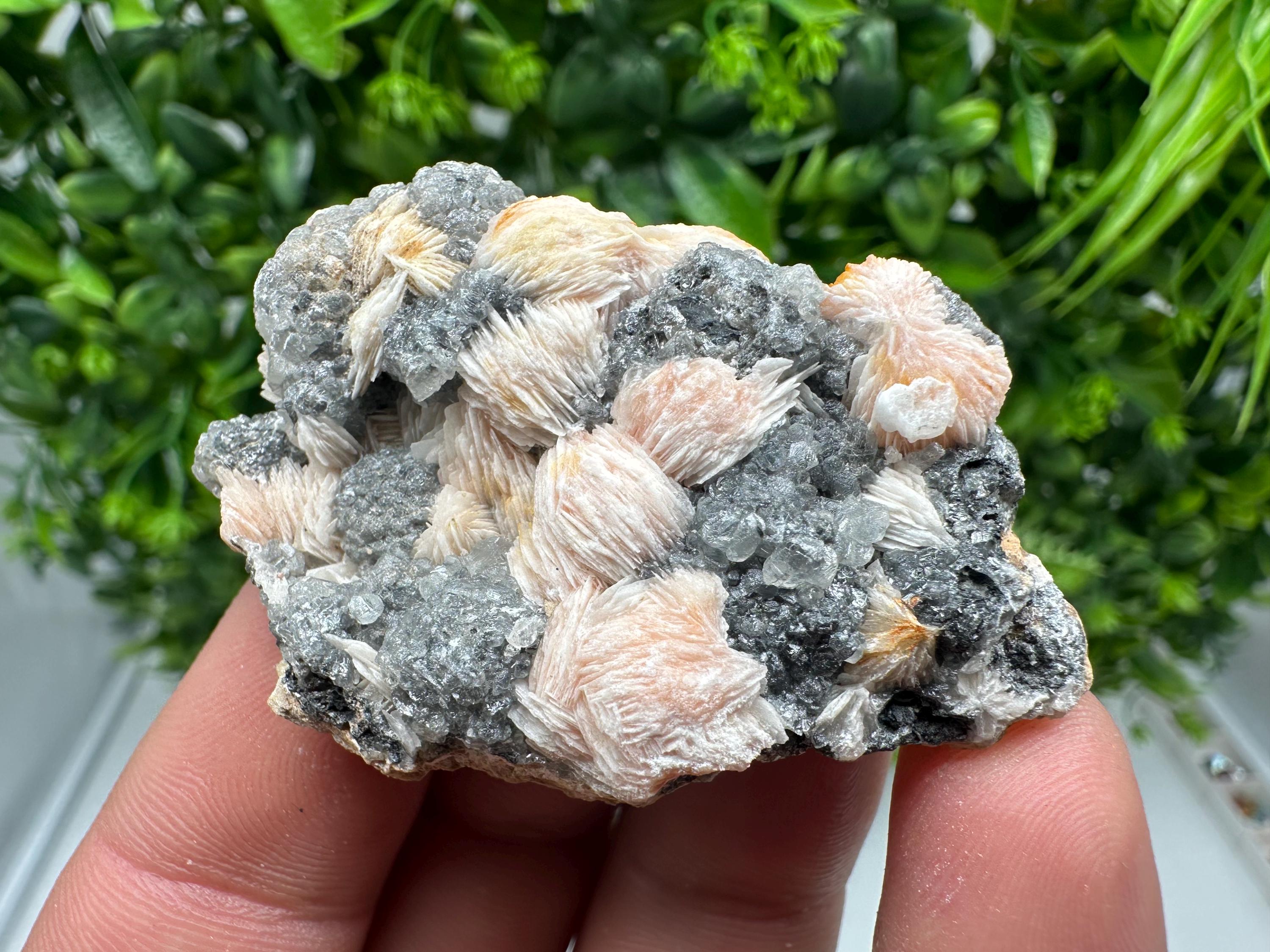 Wonderful Baryte with Cerussite on Galena from Morocco,Crystal, Mineral,Specimen,Cluster,Crystals,Barite Crystal,Cerussite Crystal,Specimen