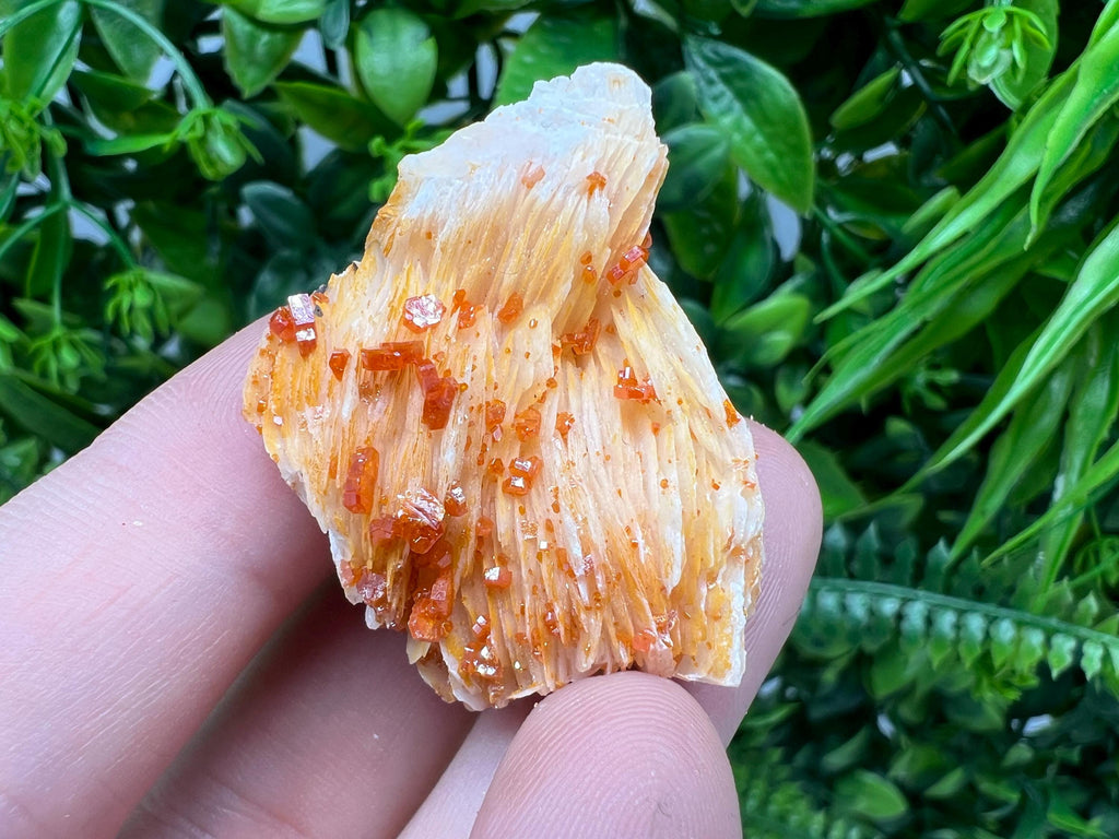 Red Vanadinite on Barite from Marocco,crystal minerals Speciment cluster Vanadinite crystal Vanadinite Geology Vanadinite cluster minerals