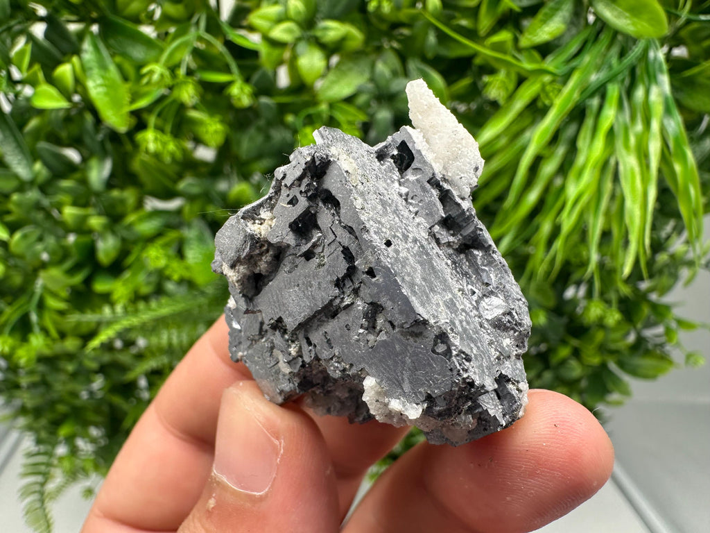 Wonderful Shiny Galena on Calcite natural minerals souvenir crystal gift collection stone,home decor minerals Borieva mine Madan Bulgaria