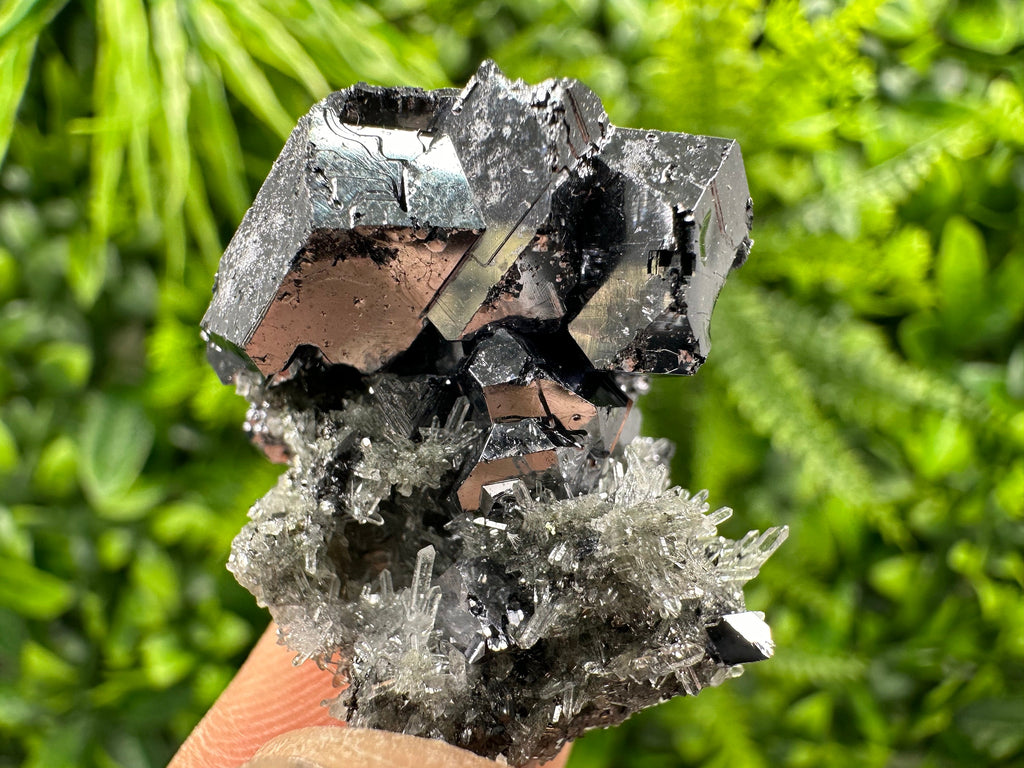 Galena on Needle Quartz, Borieva Mine Crystal