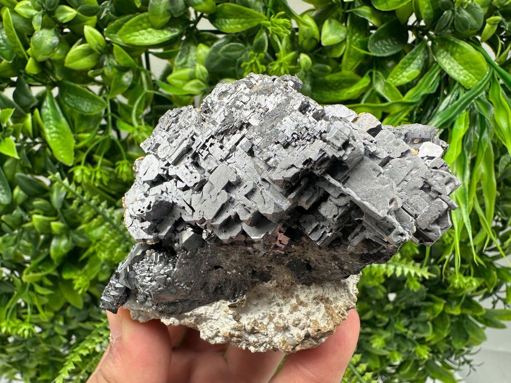 Aesthetic Natural shiny Galena whit Siderite and Quartz from 9 th September mine,Bulgaria,collection specimen,rare galena,Galena cluster
