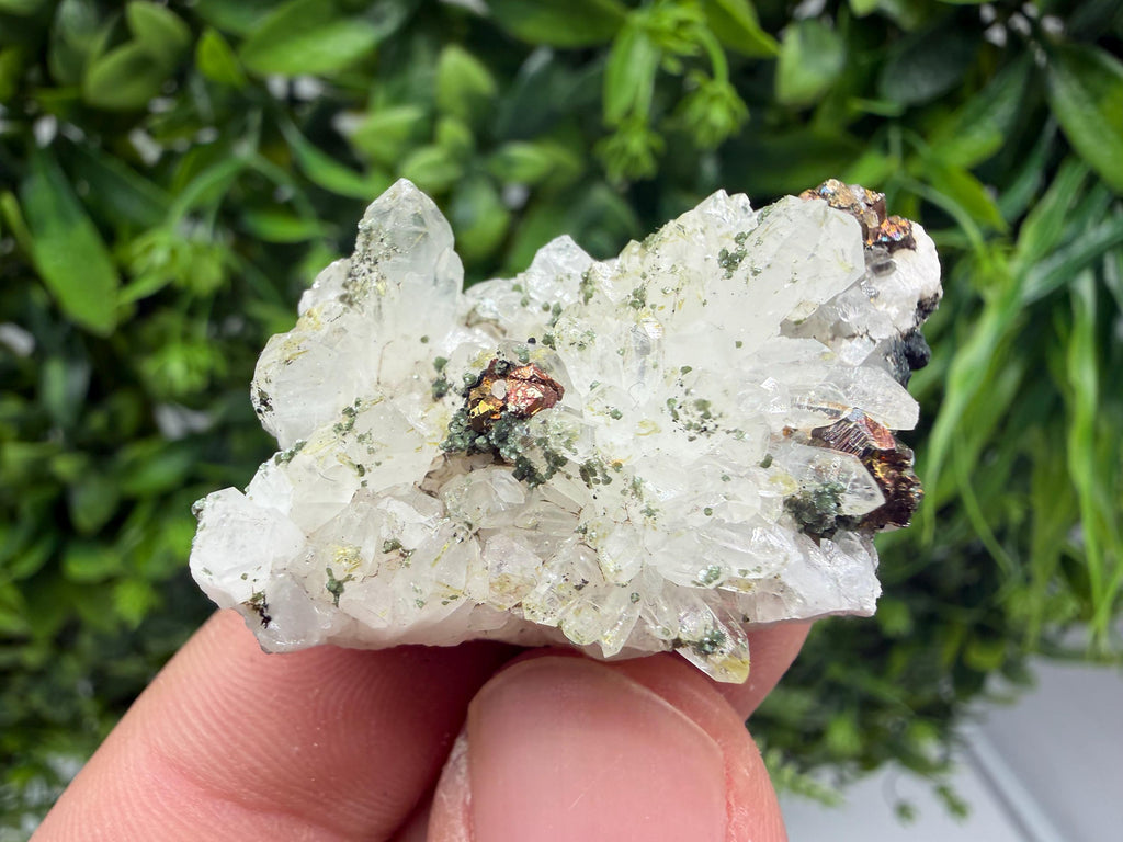 Pyrite Galena on Green Quartz, Chlorite Mineral Specimen, Bulgaria