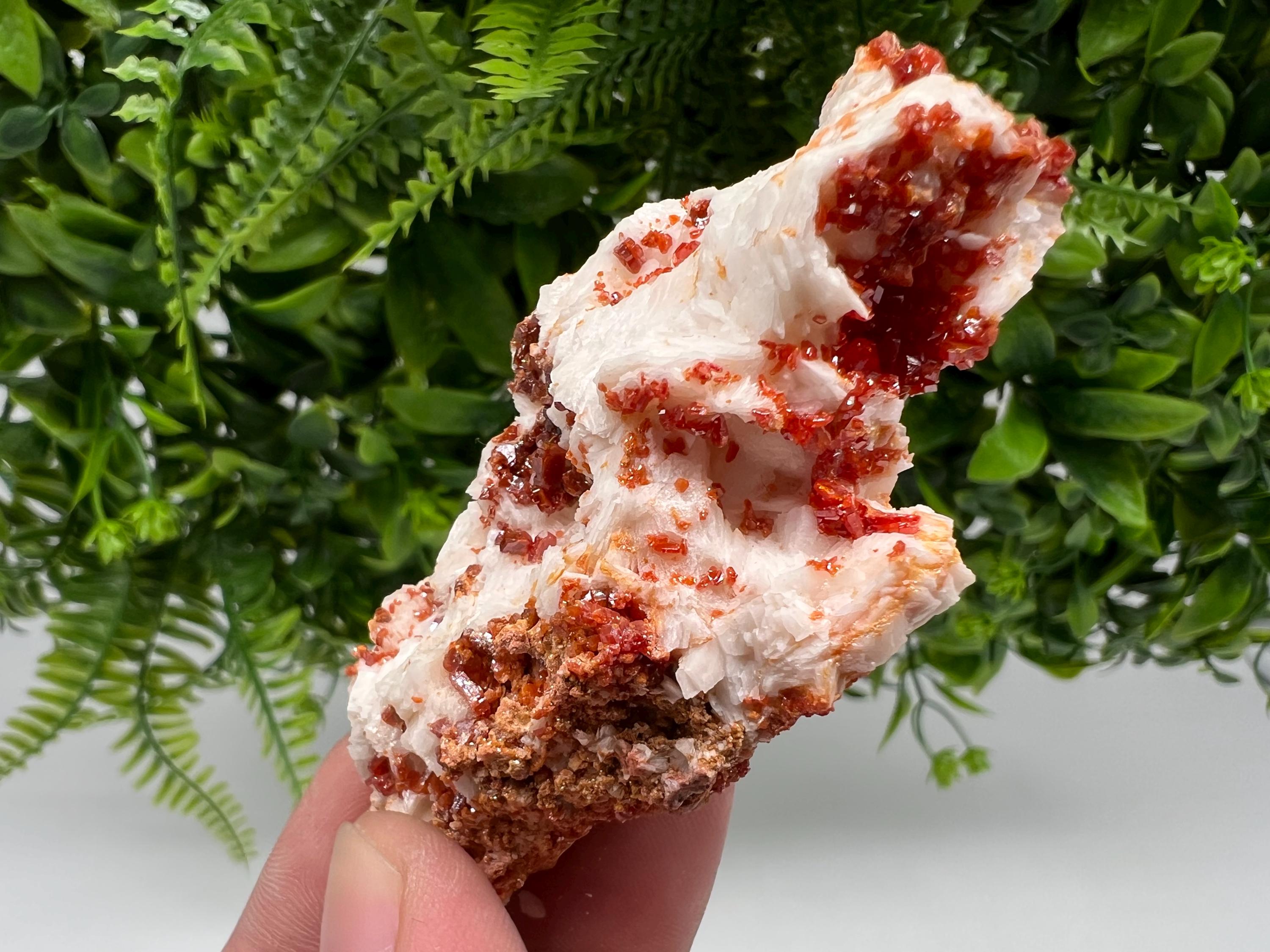 Wonderful Barite whit Vanadinite,Marocco,crystal minerals Speciment cluster Vanadinite crystal Vanadinite Geology Vanadinite cluster mineral