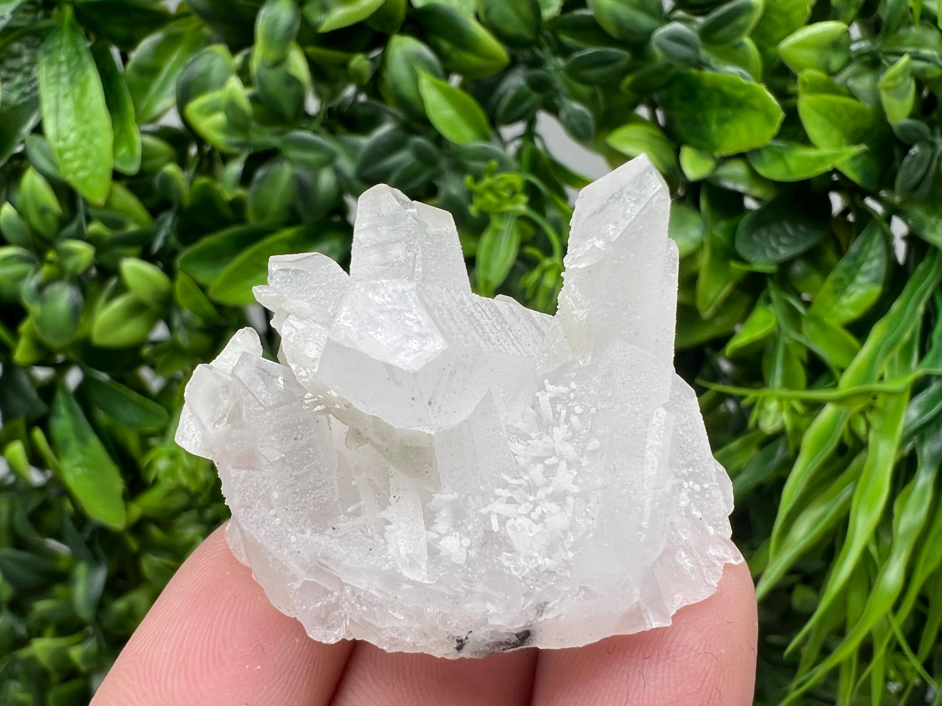 Wonderful Transparent Quartz on Chlorite Matrix,From Borieva mine,Madan,Bulgaria,Quartz,Quartz crystal,mineral specimen,collection quartz