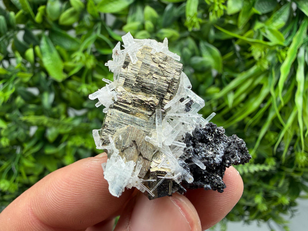 Rainbow Pyrite on Quartz with Oxide, Borieva Bulgaria Mineral Specimen