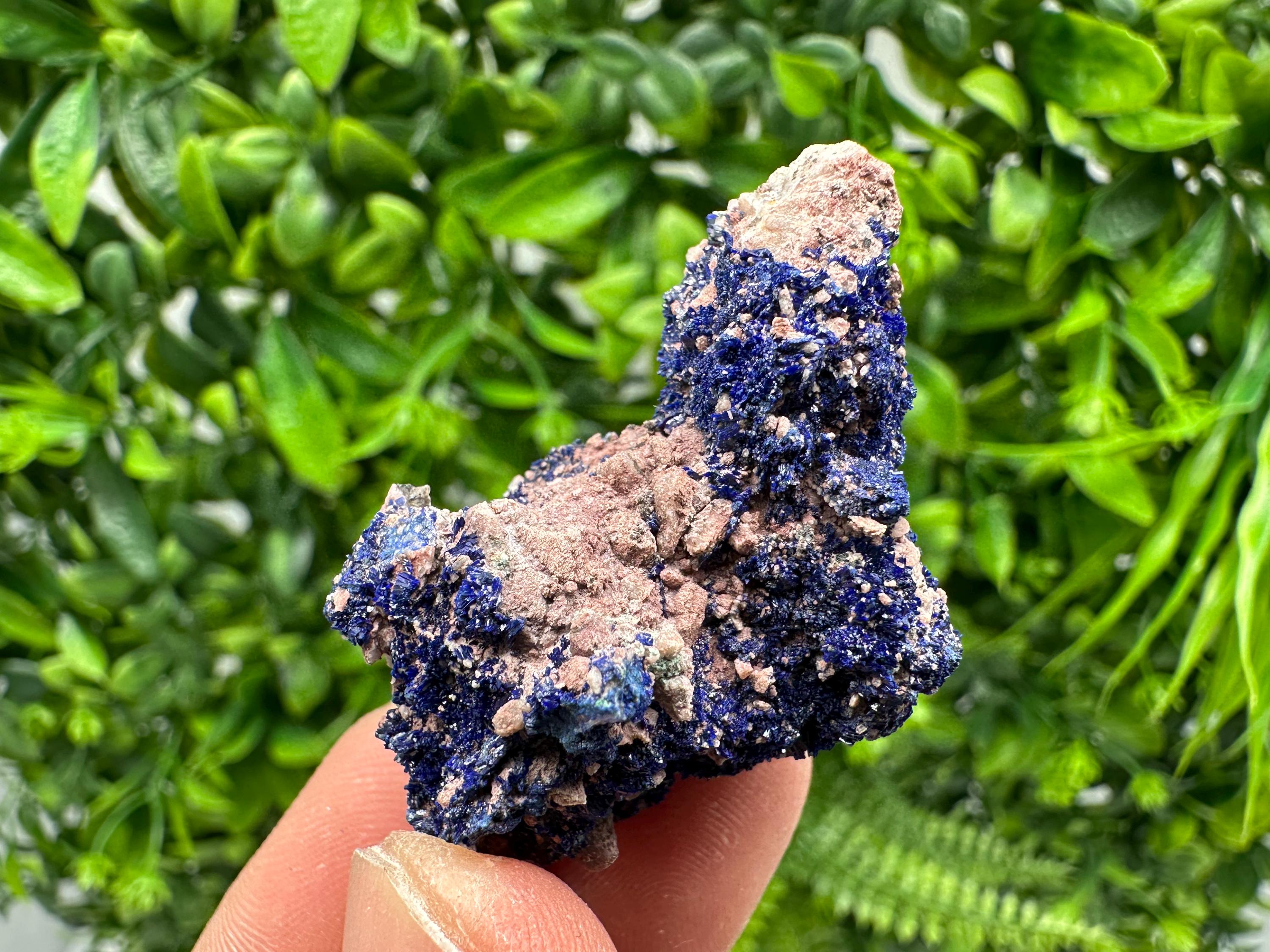 Crystallized Azurite-Kerrouchen,Morocco-Blue Azurite Specimen-High Quality Blue Azurite-Azurite Mineral Specimen, gemmy,lustrous of Azurite