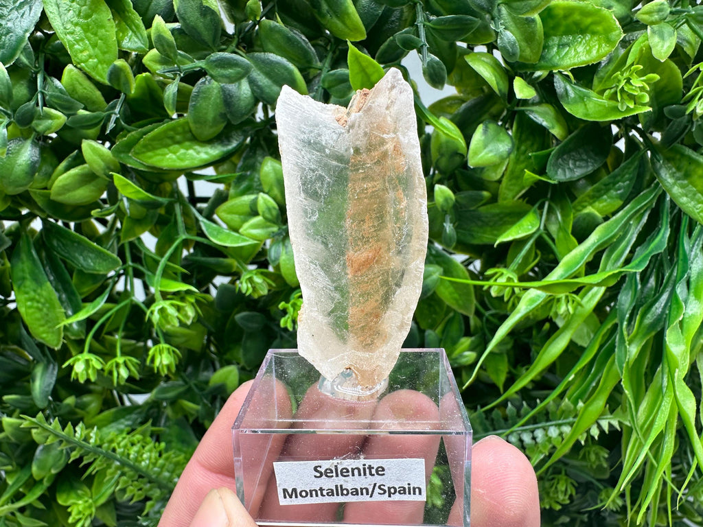 Raw Utah Golden Phantom Selenite Slab: Fishtail Selenite Wand