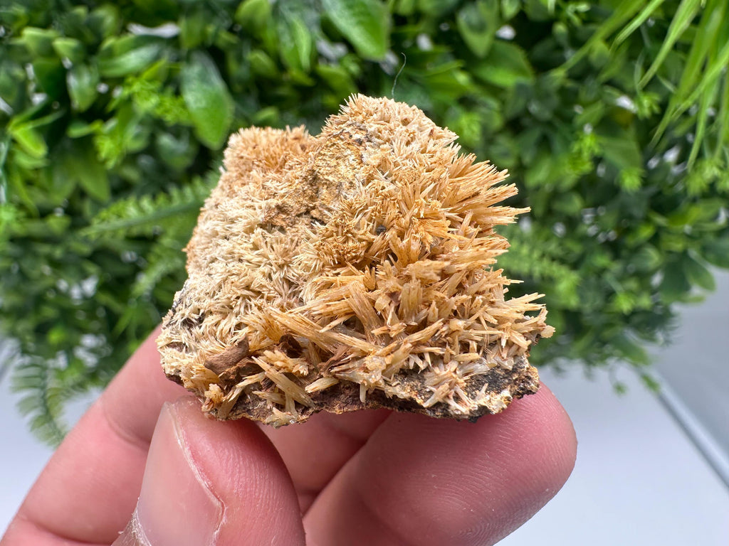 Rare Green/Yellow Pyromorphite with Hematite on Quartz - Madjarovo Mine, Bulgaria
