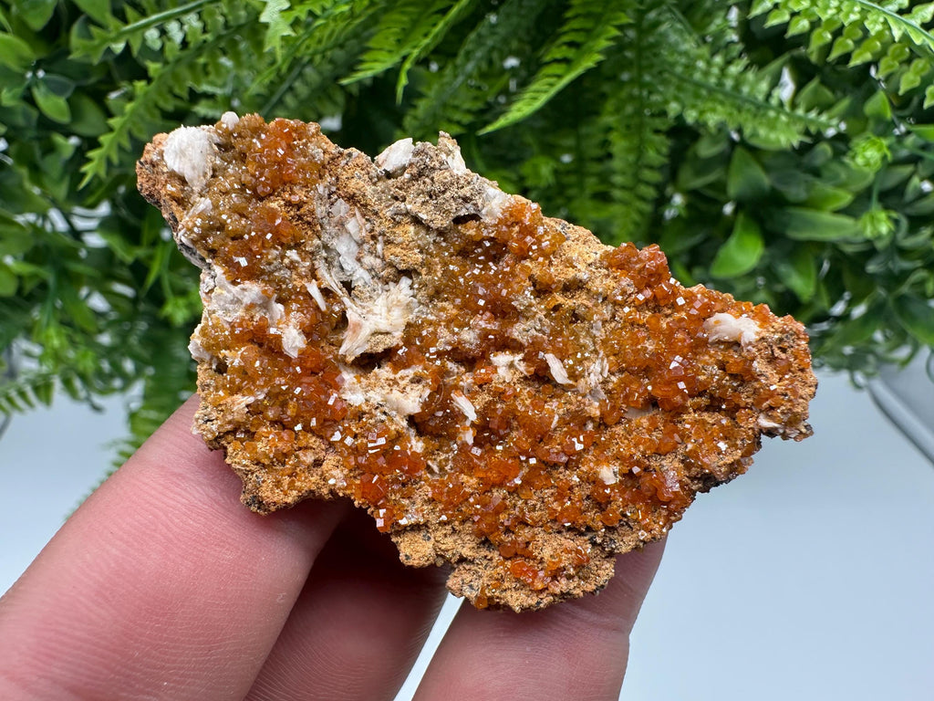 Red Vanadinite on Barite, Morocco Crystal Mineral Specimen