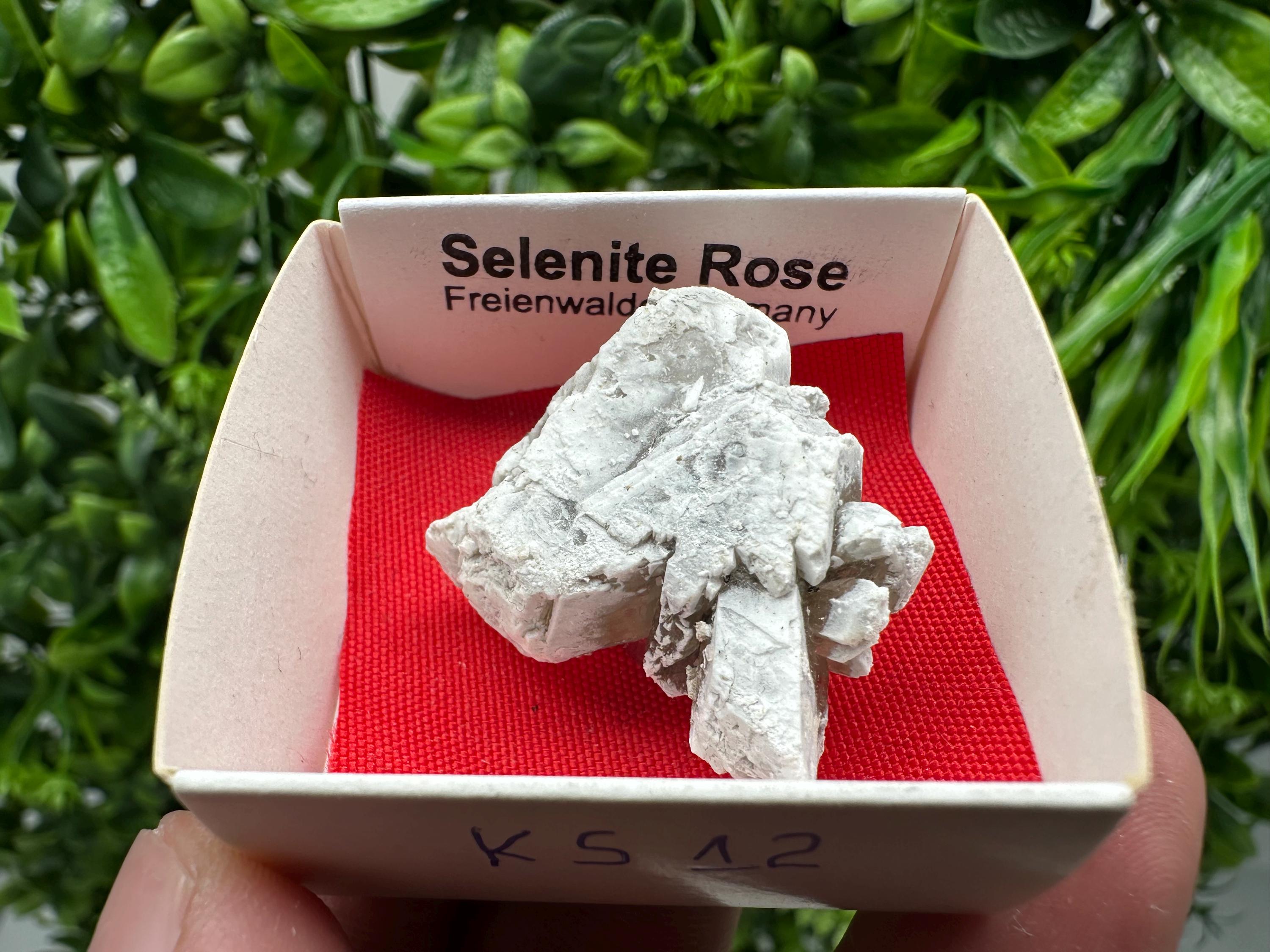 Selenite Rose Freienwalde,Germany natural crystal minerals,specimen,clusters,souvenirs,home decor,gift minerals,rare stone,collection
