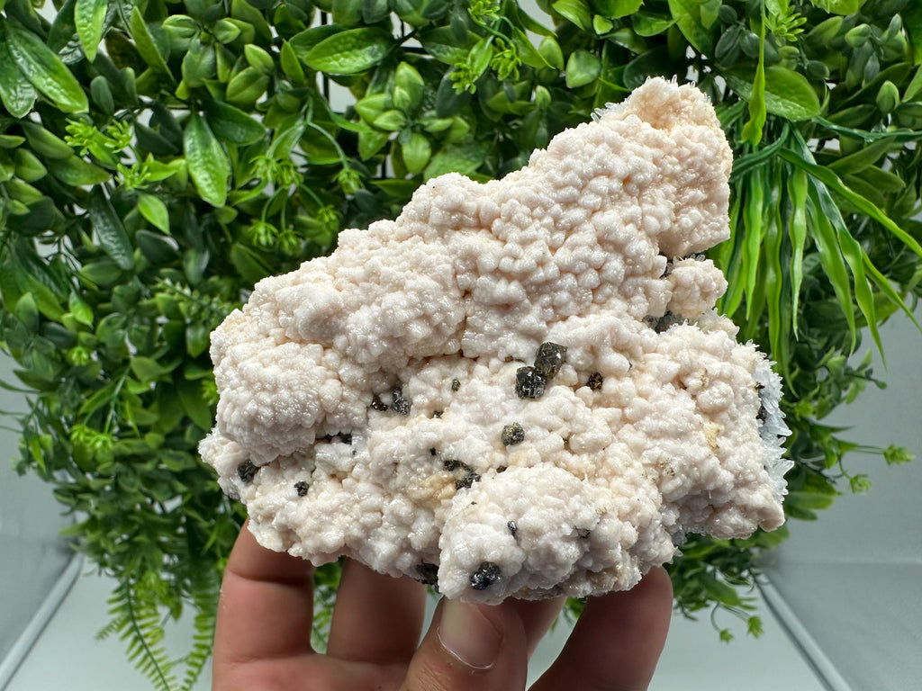 Stunning Manganocalcite whit Cleiopfane  from Krushev dol mine,Madan,Bulgaria,pink Calcite,Mangano Calcite,natural,collection mineral specim