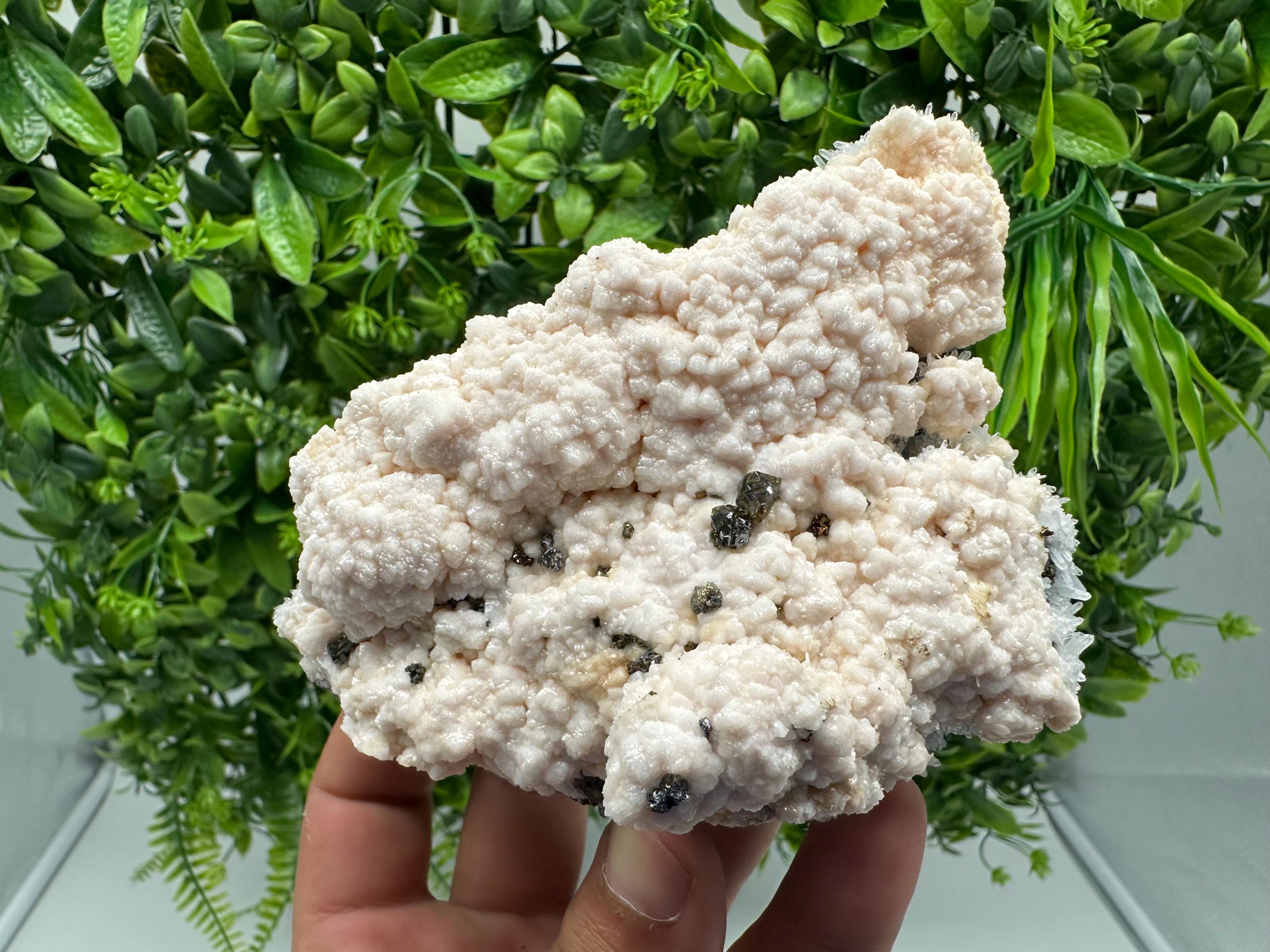 Stunning Manganocalcite whit Cleiopfane  from Krushev dol mine,Madan,Bulgaria,pink Calcite,Mangano Calcite,natural,collection mineral specim