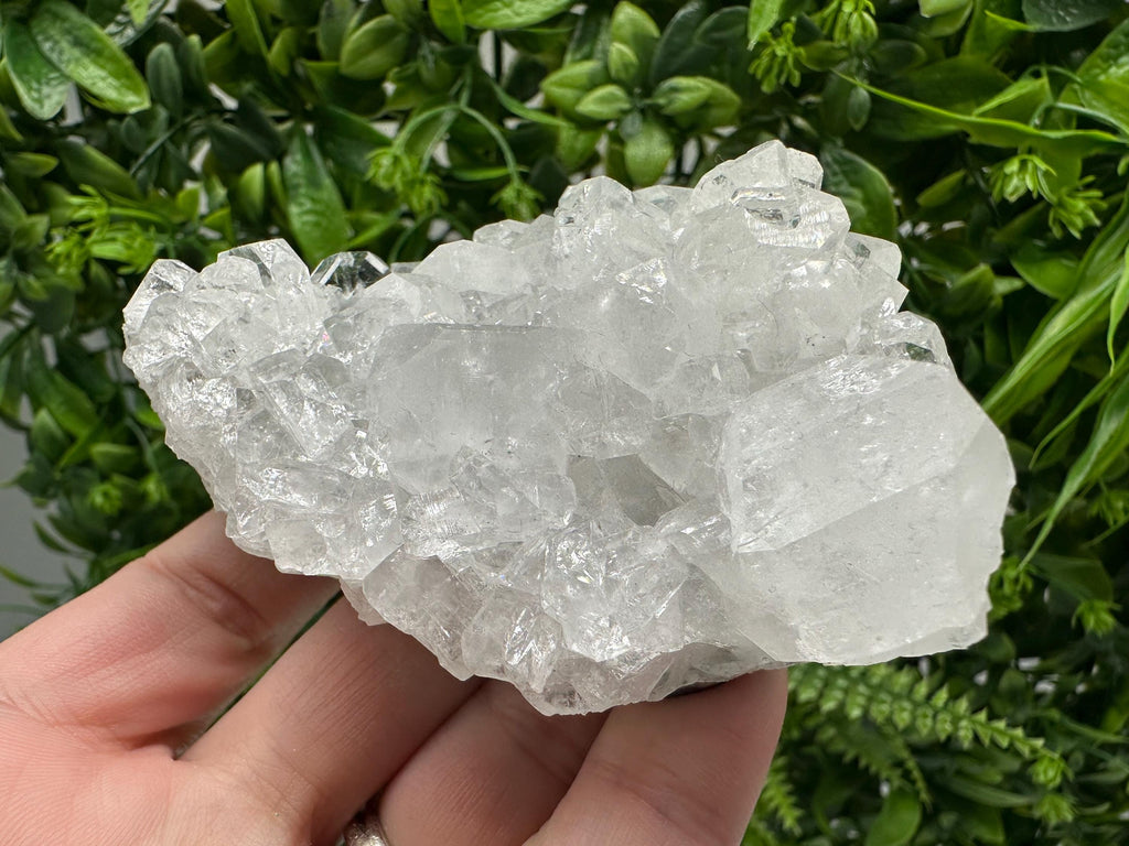 Apophyllite on Chalcedony Specimen: India Minerals Collection