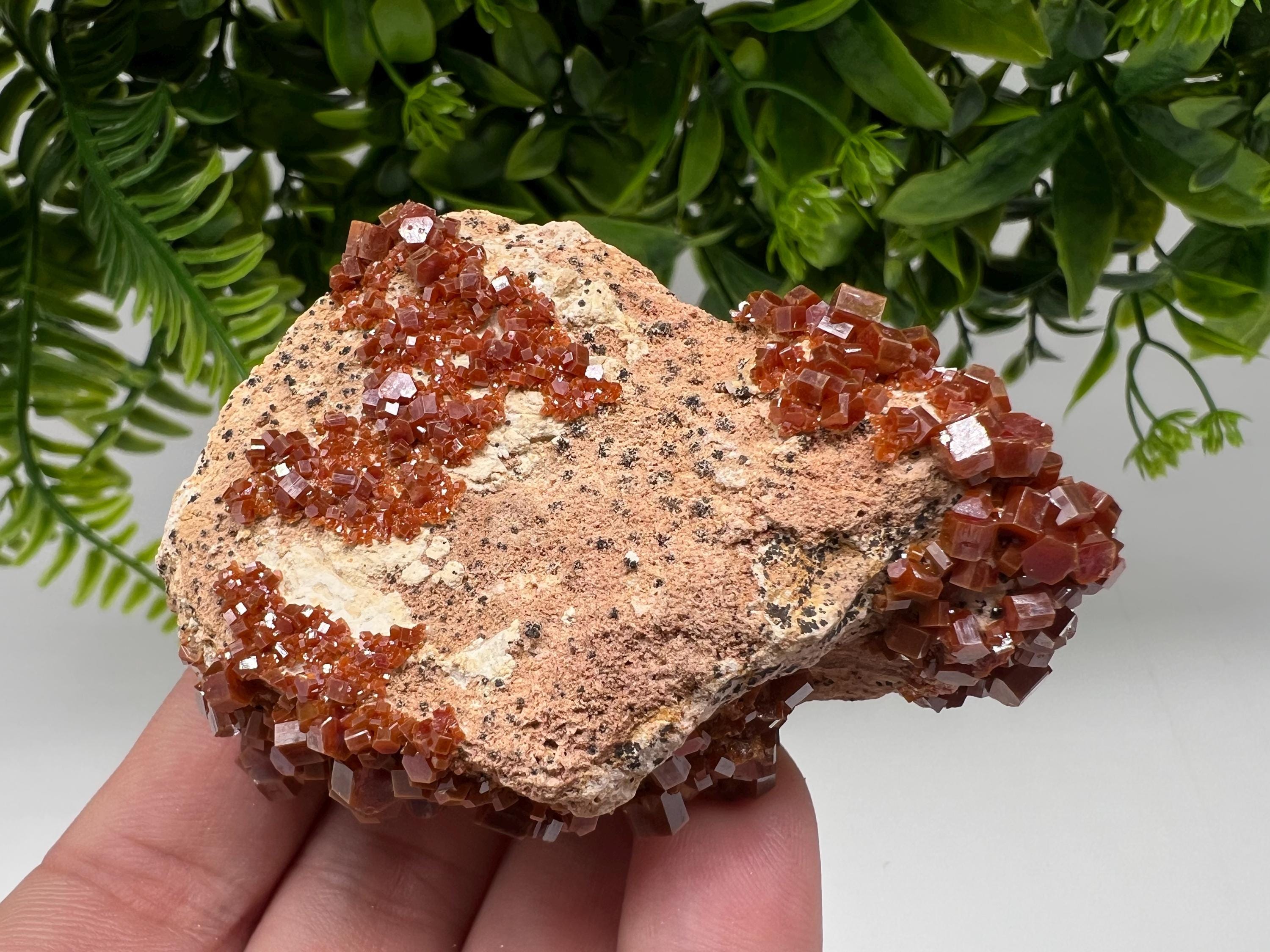 Red Vanadinite on Barite from Marocco,crystal minerals Speciment cluster Vanadinite crystal Vanadinite Geology Vanadinite cluster minerals
