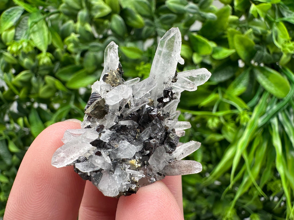 Wonderful Sphalerite Chalcopyrite on  Quartz whit Galena feom 9 th September mine,Bulgaria,natural,collection mineral specimen,gift