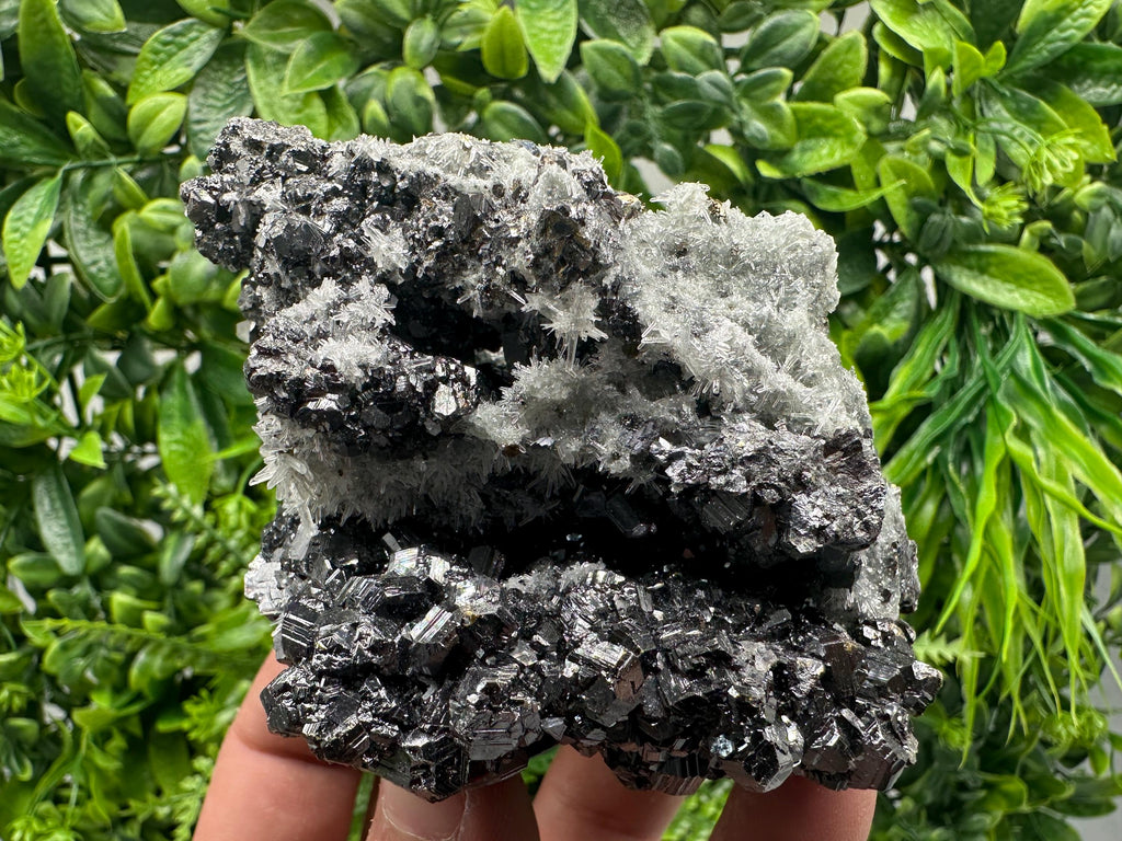Sphalerite on Green Quartz, Borieva Mine Mineral Specimen