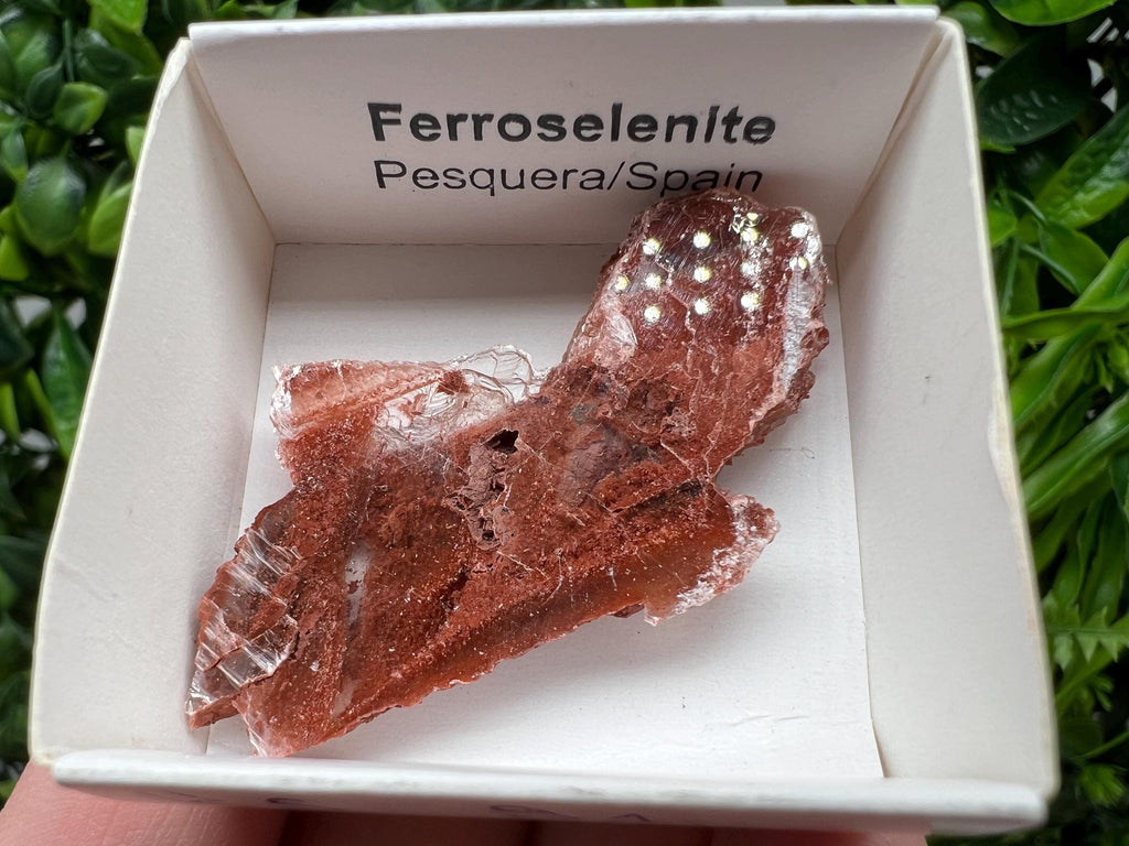 Rare Ferroselenite Mineral Specimen, La Pesquera Spain