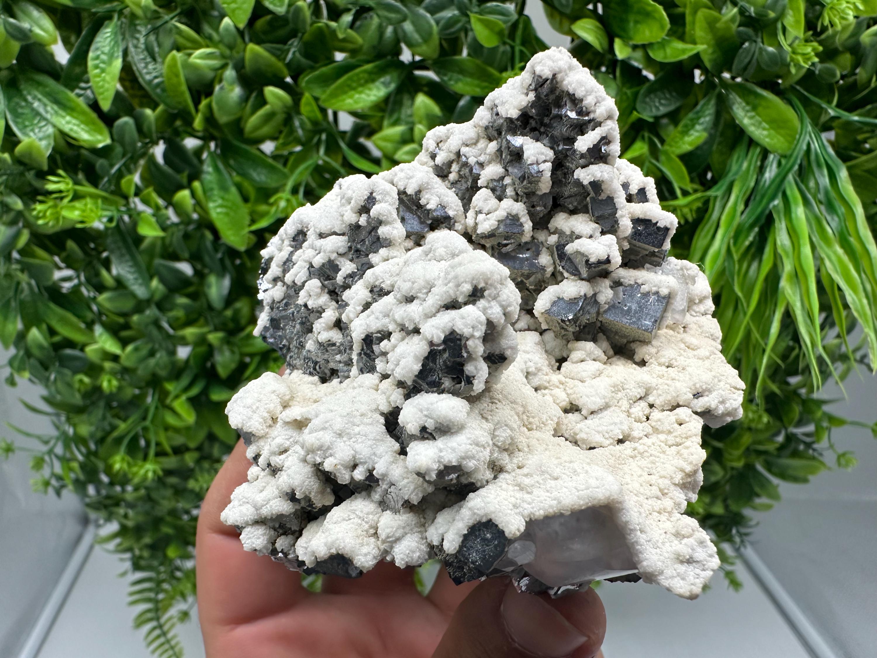 Stunning Galena whit Dolomite from Krushev dol mine,Madan,Bulgaria,natural,collection mineral specimen,Home decor stone,rare crystal,Gift