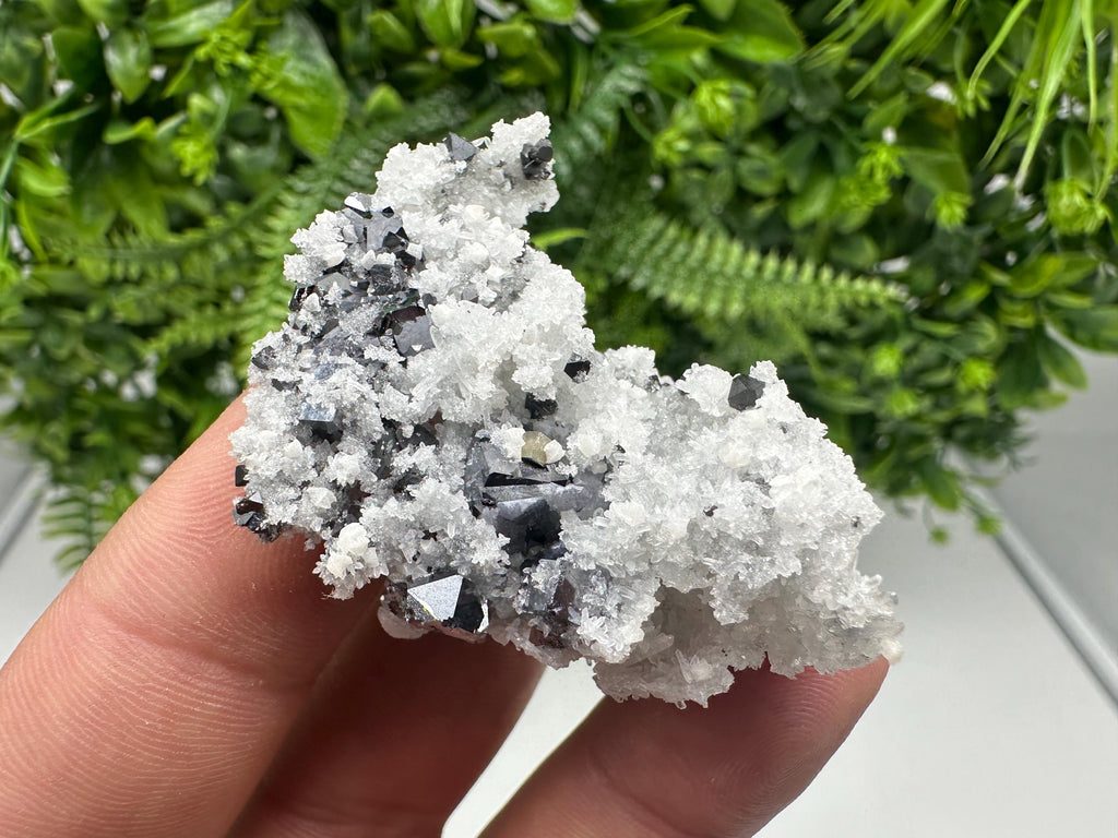 Galena Sphalerite Quartz Mineral Specimen, Krushev Dol Mine