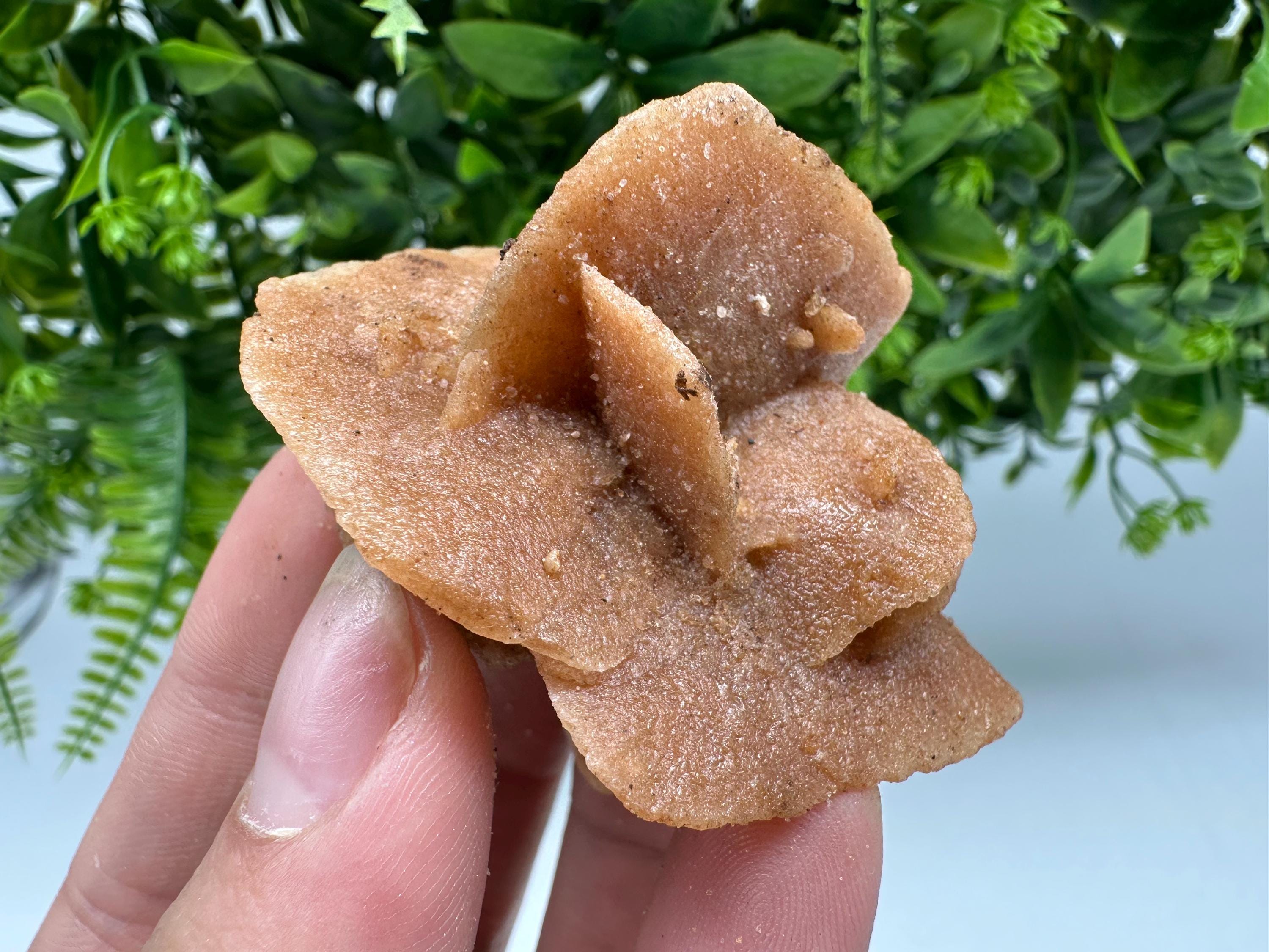 Natural Desert Rose Crystal - Root Chakra Healing Selenite Stone