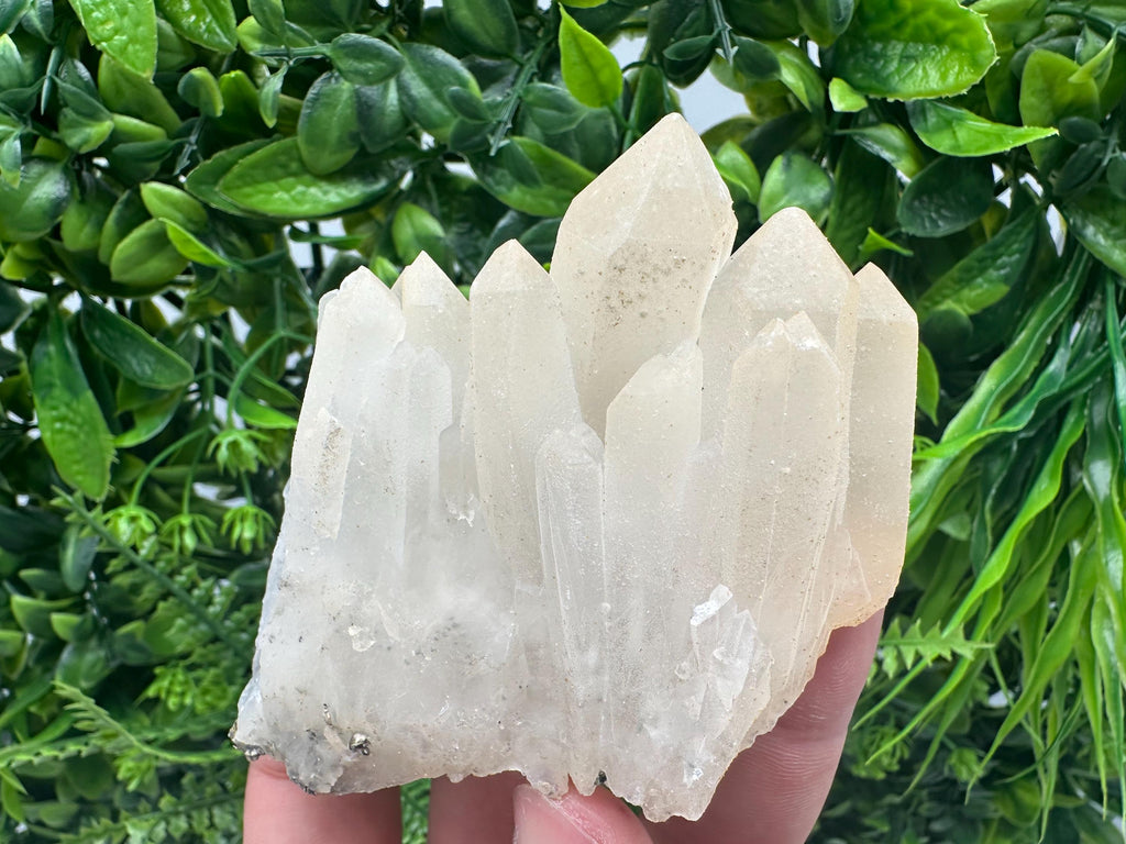 Quartz Rhodochrosite Cluster, Djurcovo Mine Mineral Specimen