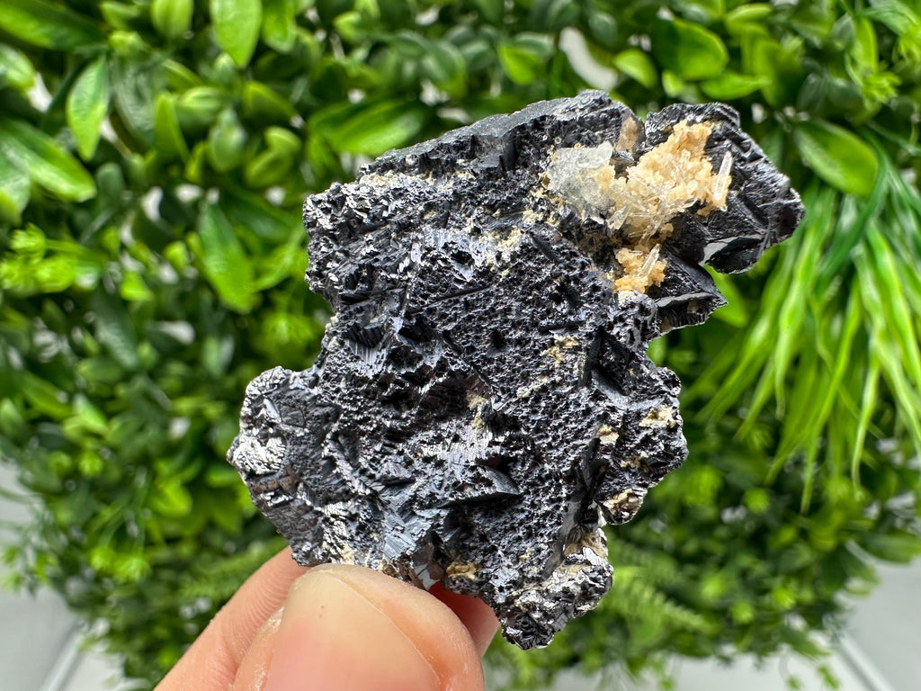 Galena Spinel Twin Mineral Specimen: Krushev dol Mine, Bulgaria