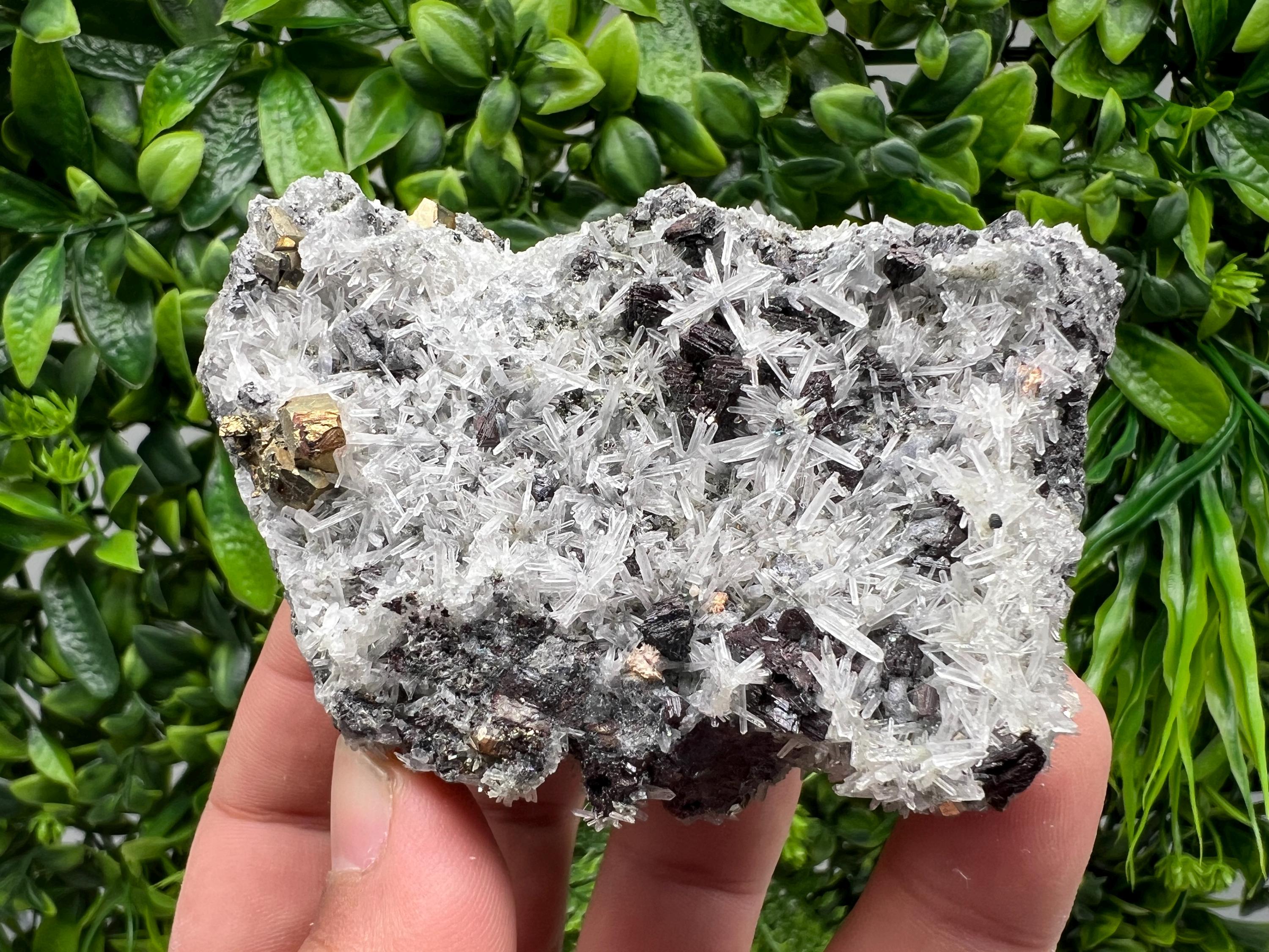 Rainbow Pyrite on Quartz with Oxide, Borieva Bulgaria