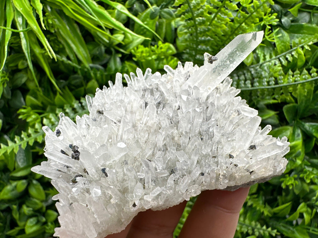 Quartz with Pyrite and Galena, Krushev Dol Mine, Bulgaria