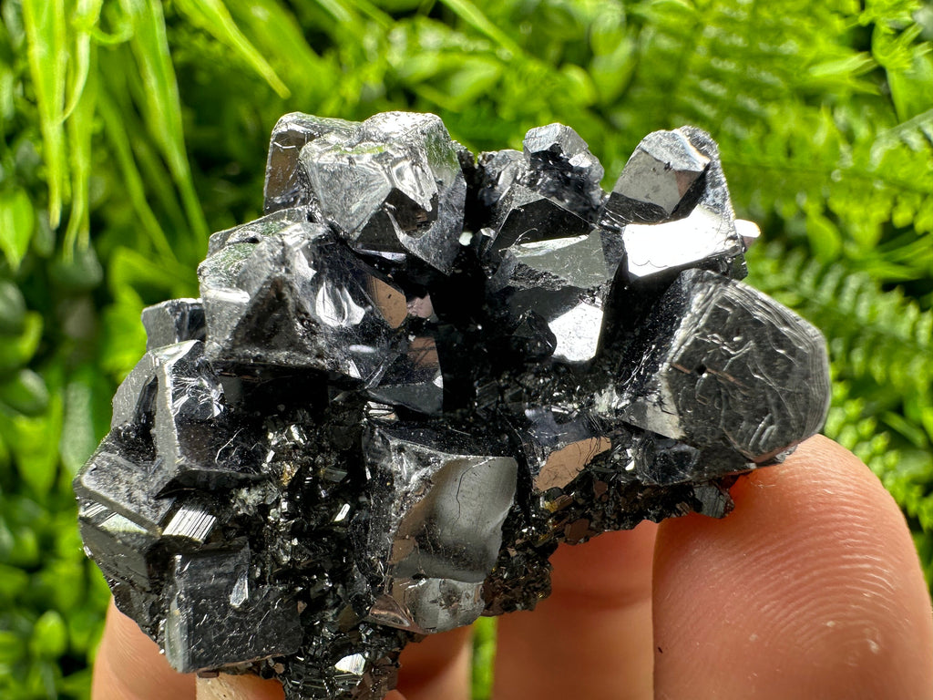Galena on Sphalerite Specimen - Borieva Mine, Bulgaria