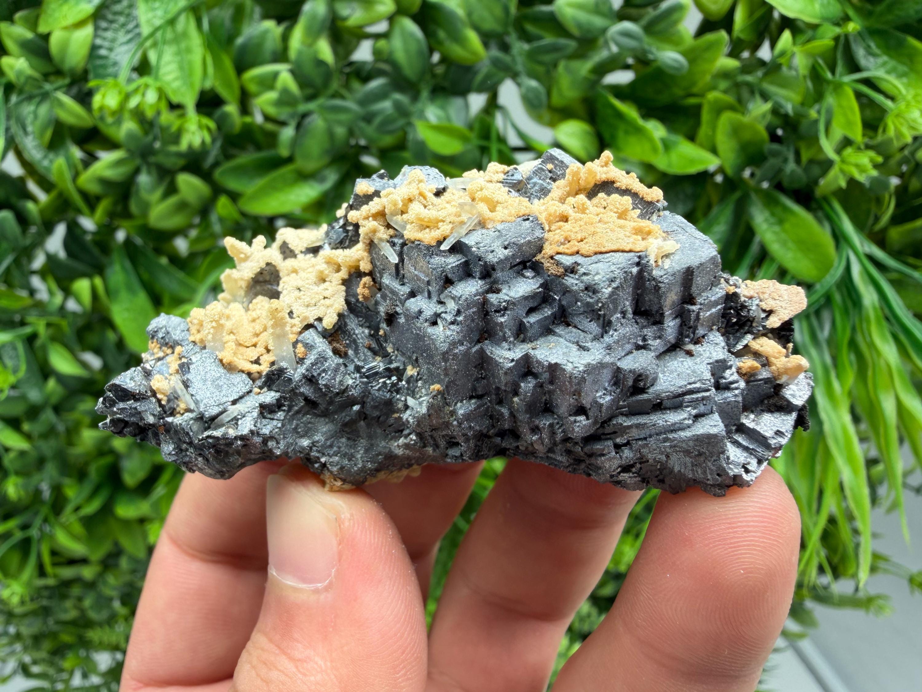 Aesthetic Natural shiny Galena whit Siderite and Quartz from 9 th September mine,Bulgaria,collection specimen,rare galena,Galena cluster