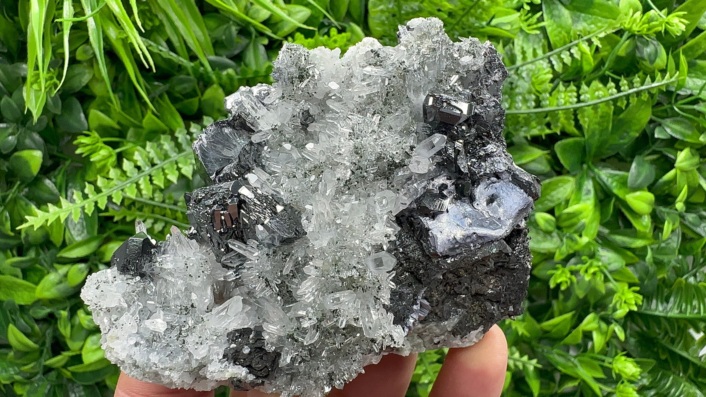 Sphalerite, Mirror Galena on Quartz, Bulgaria Minerals, Crystal Decor (9/7/7 cm)