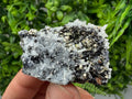 Pyrite Sphalerite Quartz Calcite Mineral Specimen, Krushev dol Mine