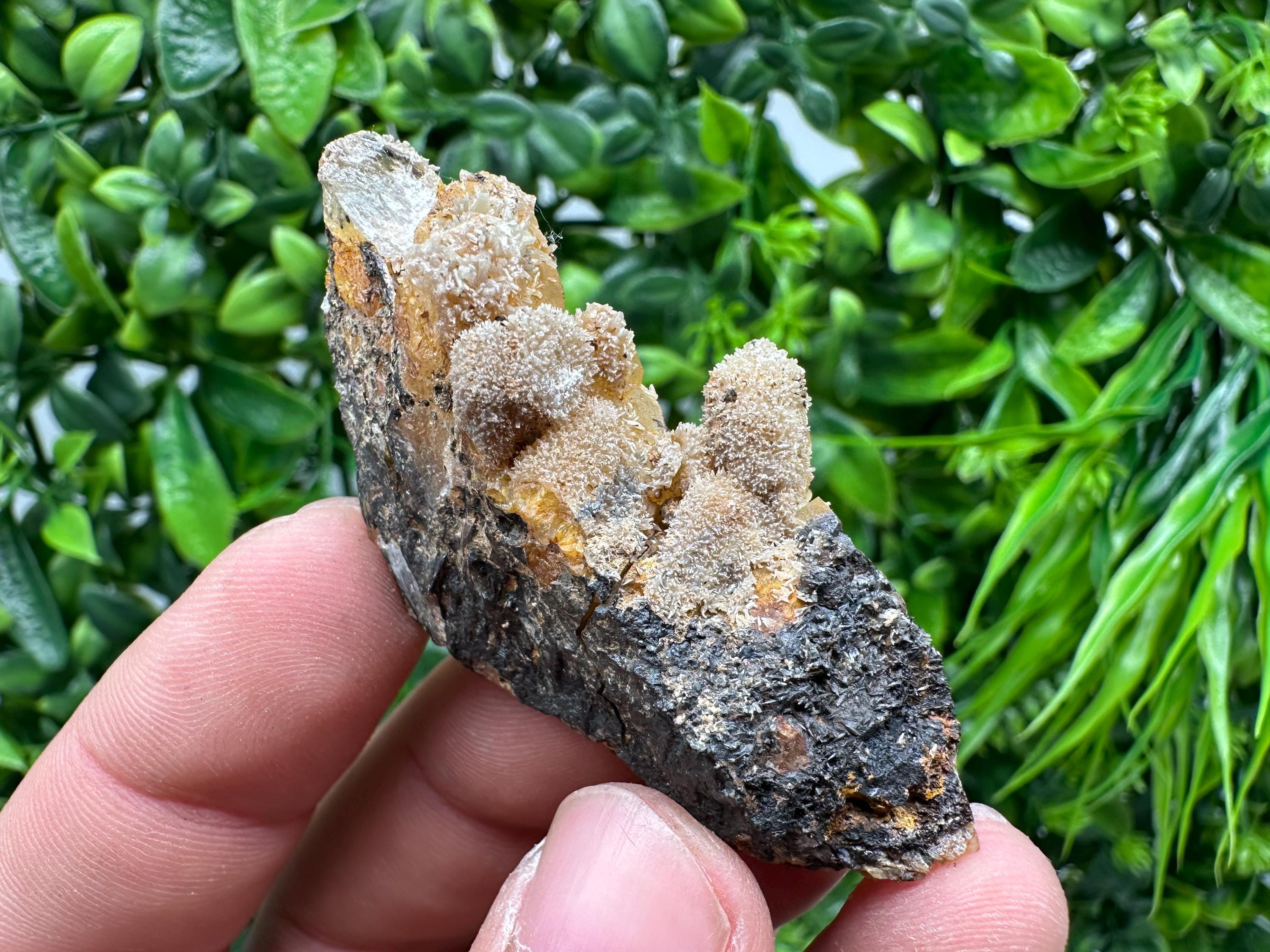 Rare Green/Yellow Pyromorphite & Hematite on Quartz - Madjarovo Mine, Bulgaria