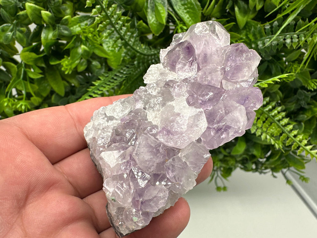 Brazilian Amethyst Cluster, Purple Quartz Specimen